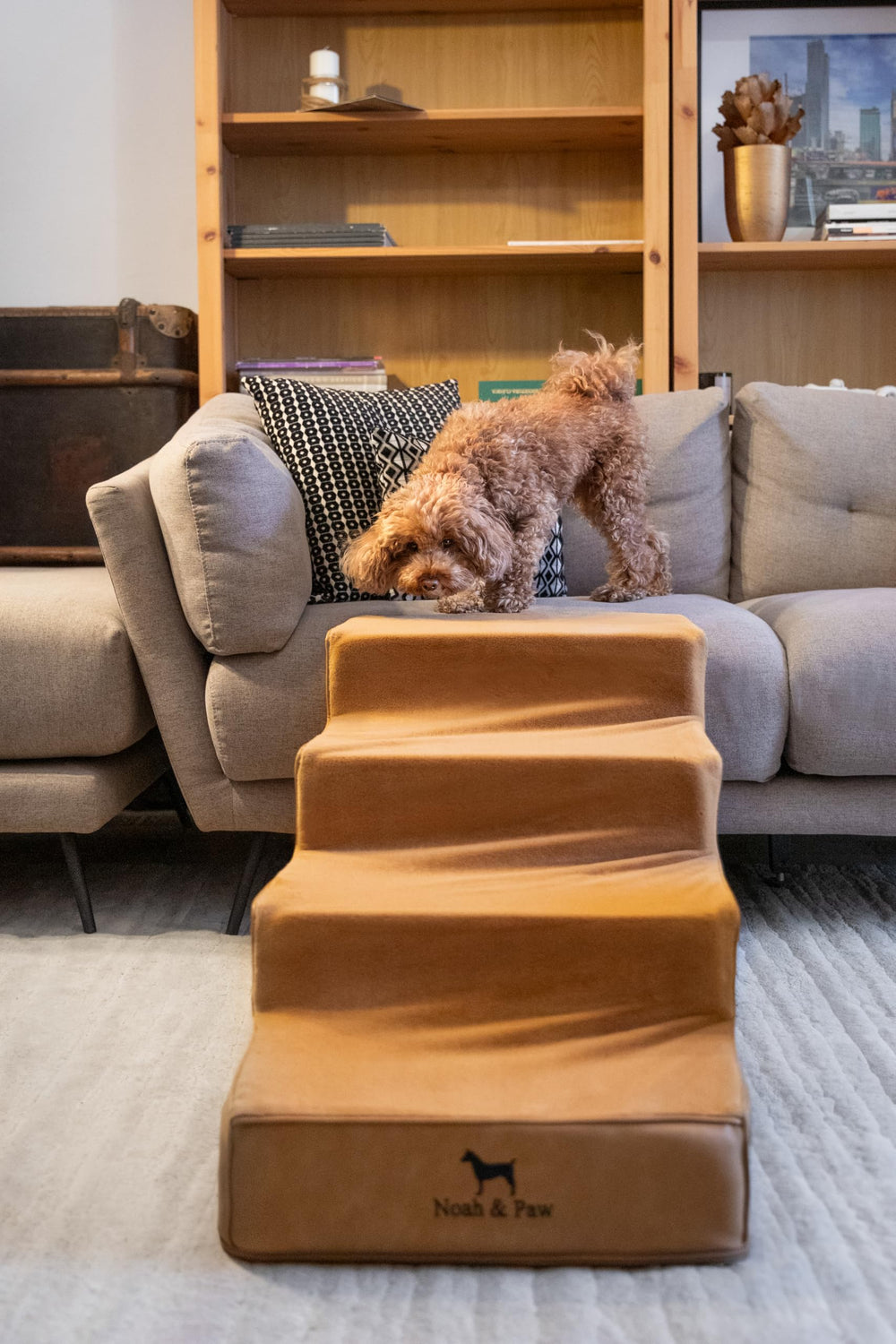 Noah & Paw escalier chien tissu pelucheux, douceur au toucher.