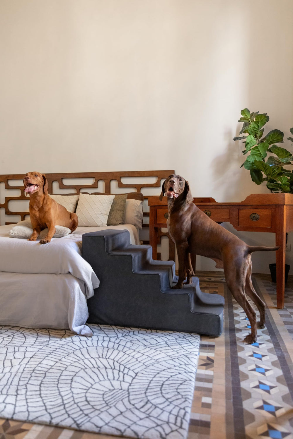 Noah et Paw escalier mousse densité 35 kg/m3 offre stabilité