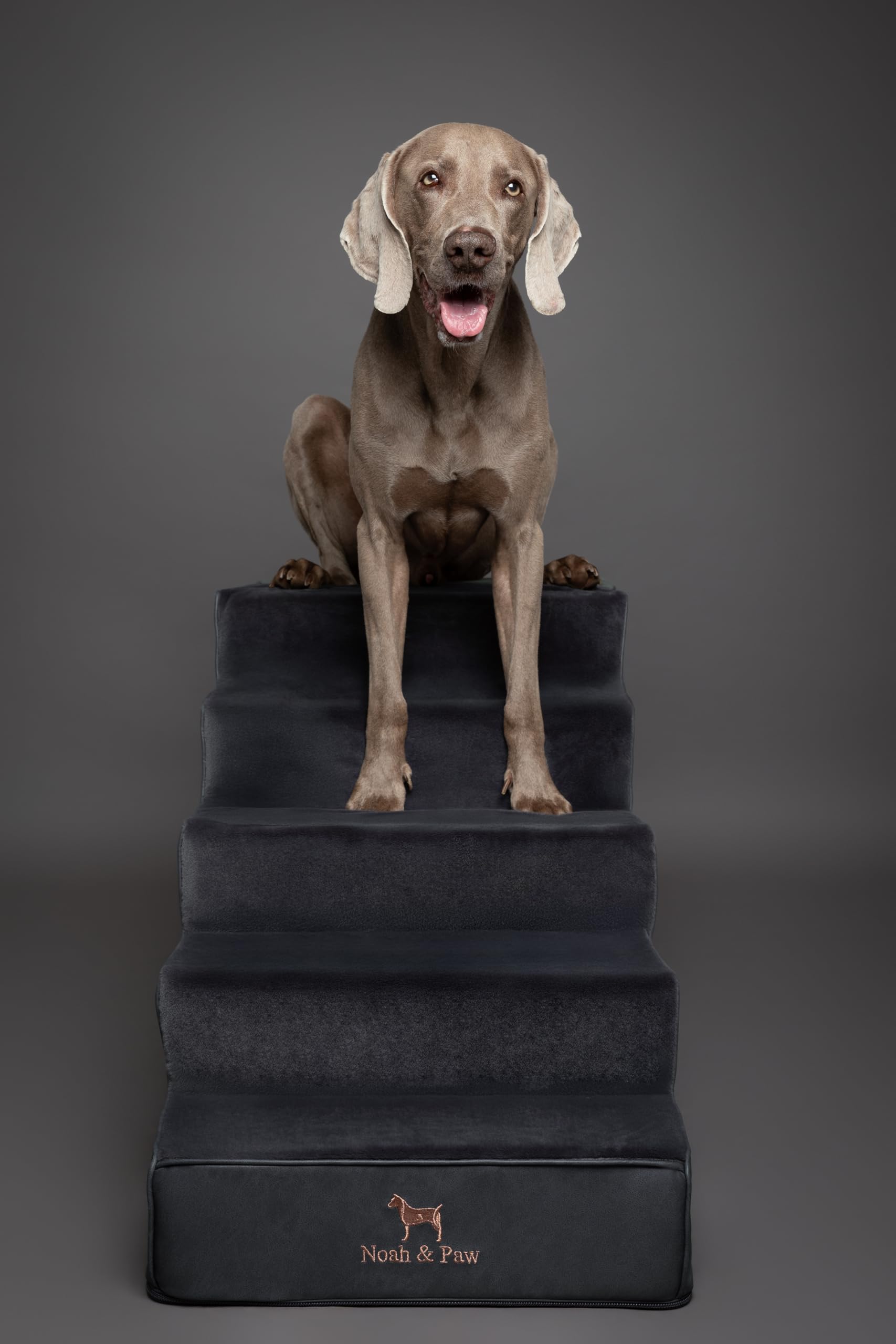 Noah et Paw escalier cuir végan et tissu peluche intégré au décor