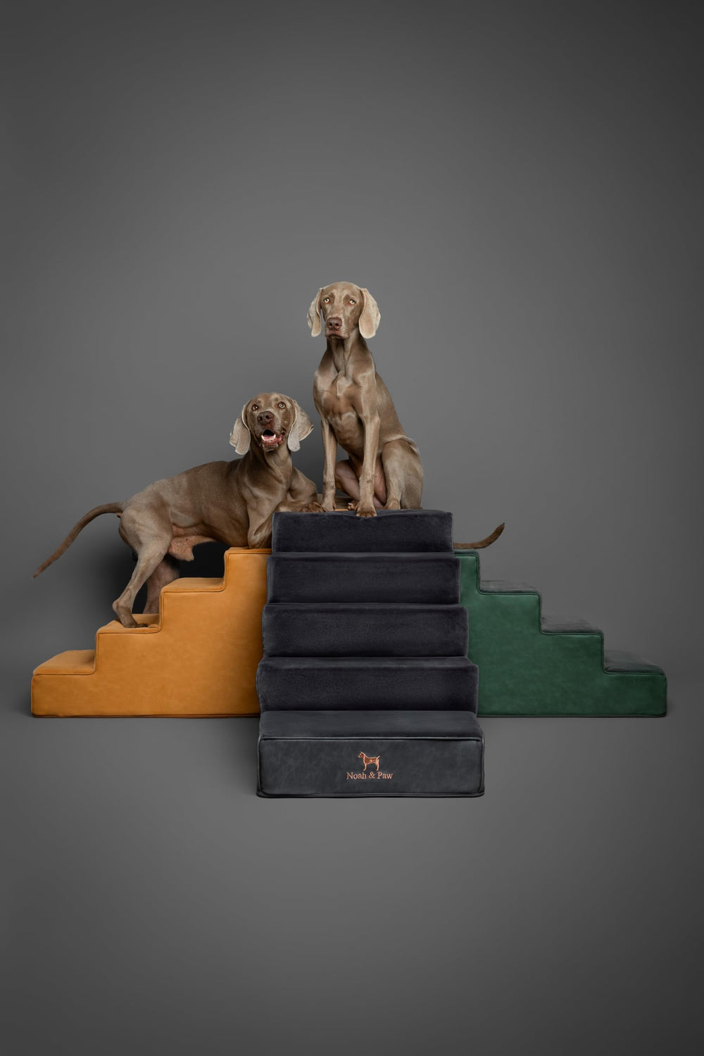 Noah et Paw escalier entretien facile avec housse lavable