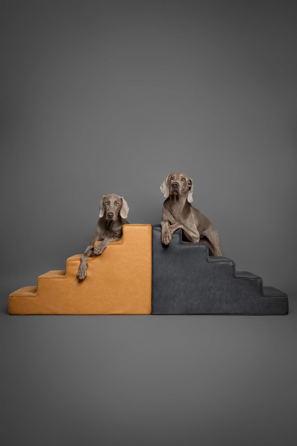 Noah et Paw escalier montage en une pièce sans tracas