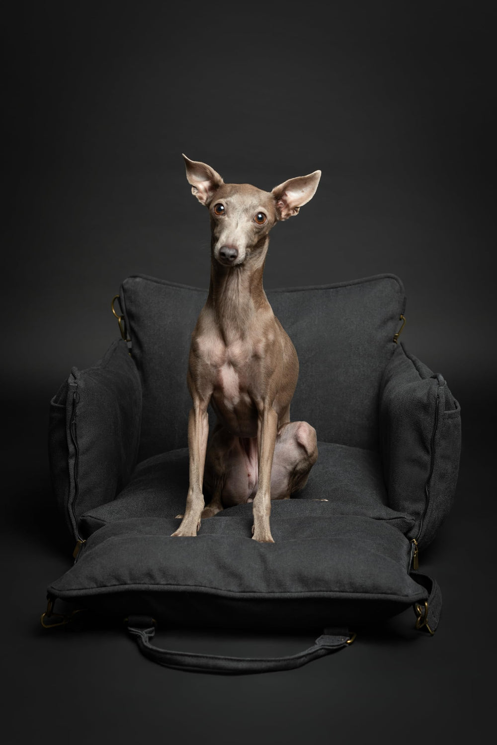 NOAH & PAW extérieur vegan cuir pour une protection durable