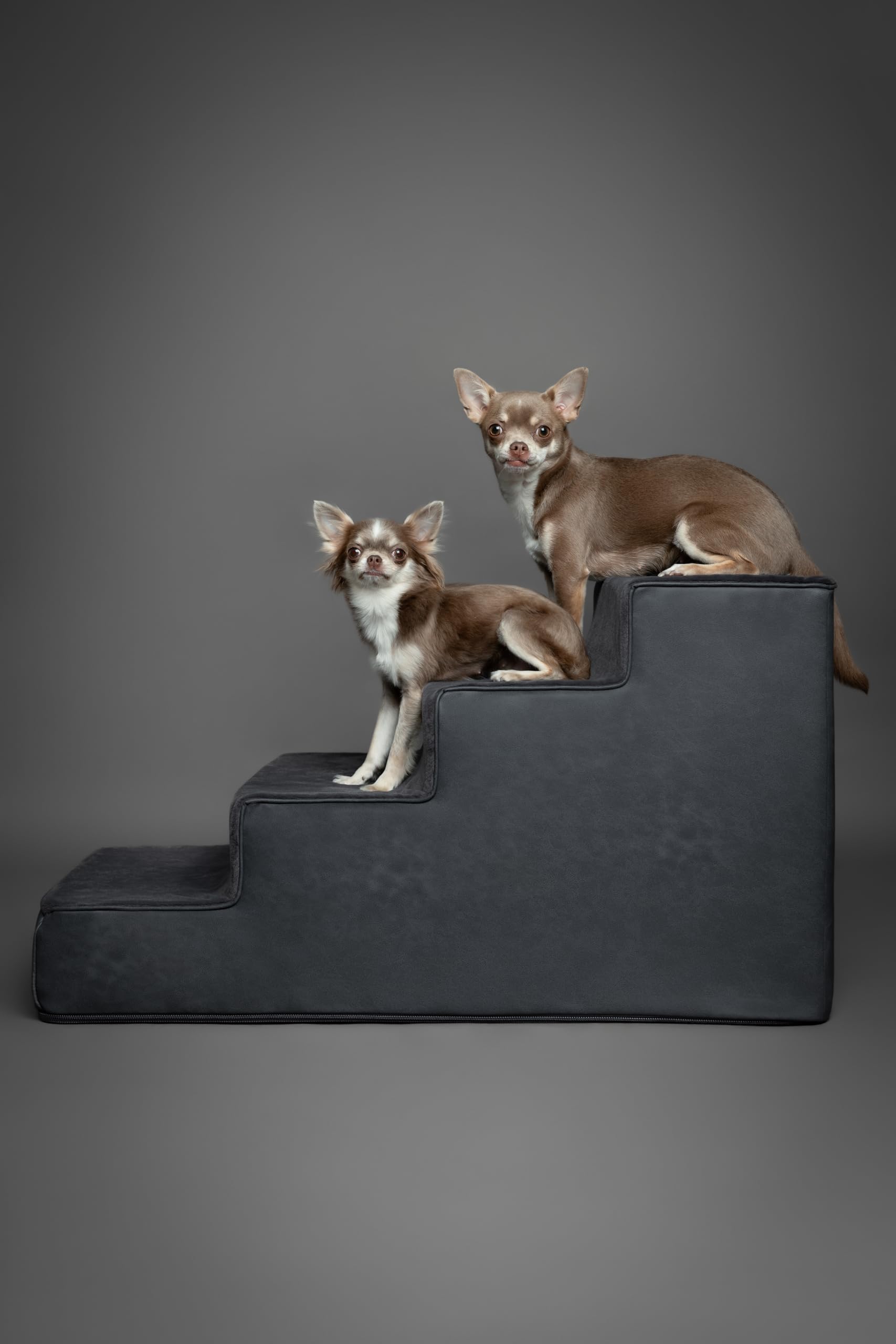 Noah & Paw Fermeture ZIP 10 mm, couverture amovible et nettoyage facile.