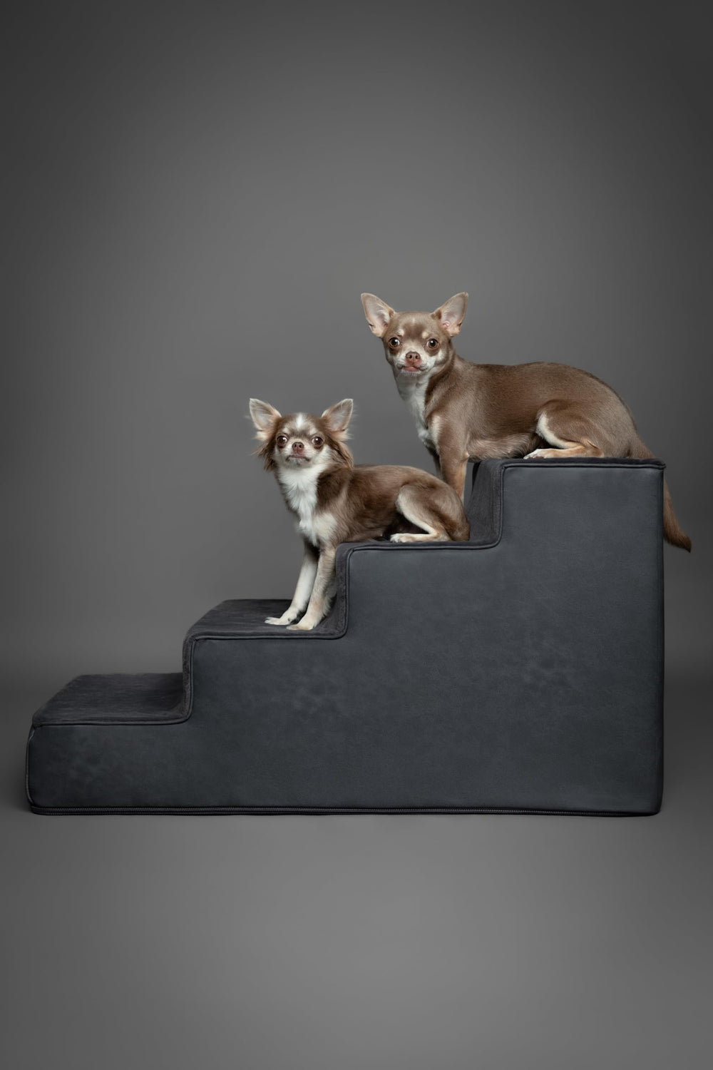 Noah & Paw Fermeture ZIP 10 mm, couverture amovible et nettoyage facile.