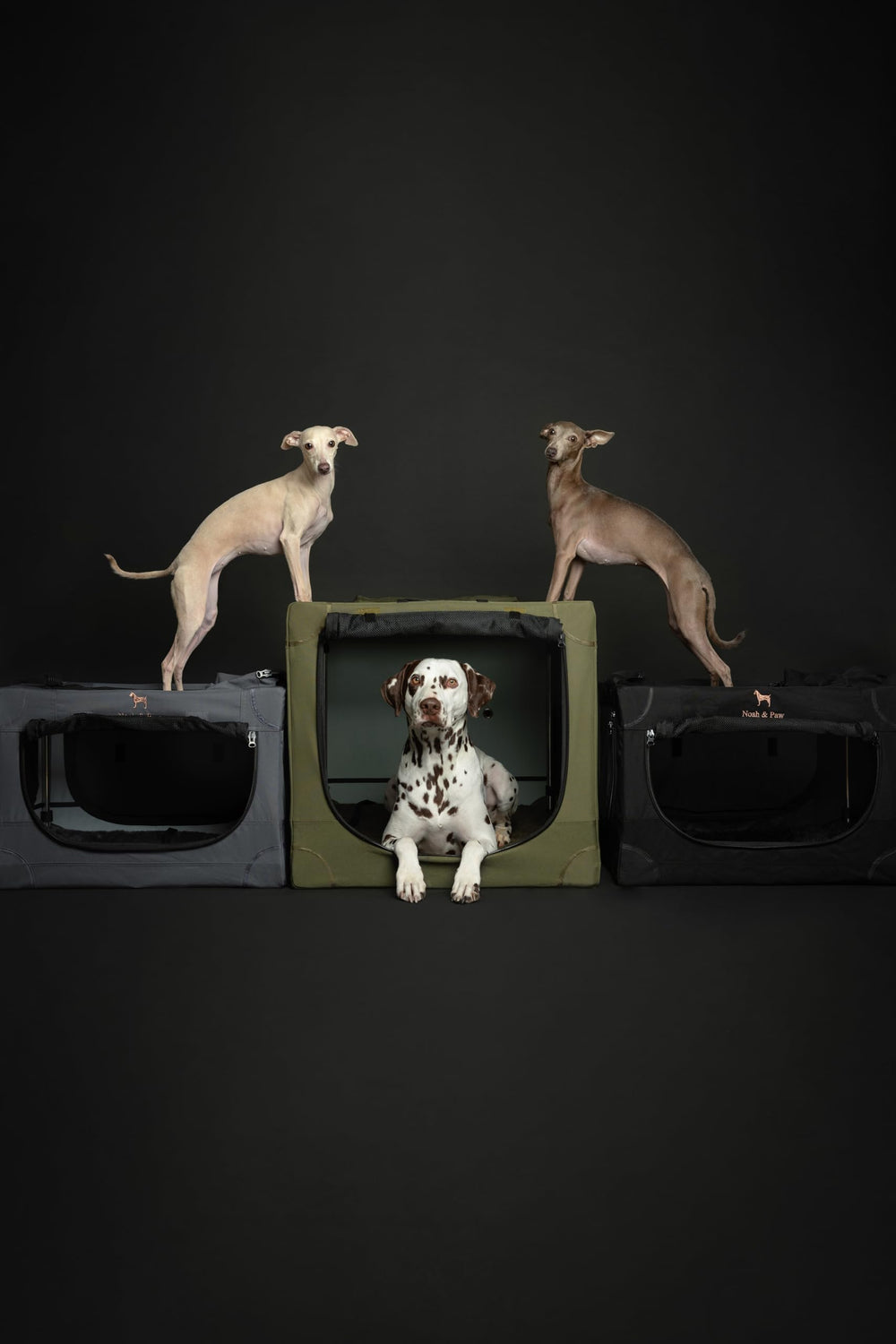 Fermetures à glissière 10 mm renforçant la sécurité du chien dans le chenil.