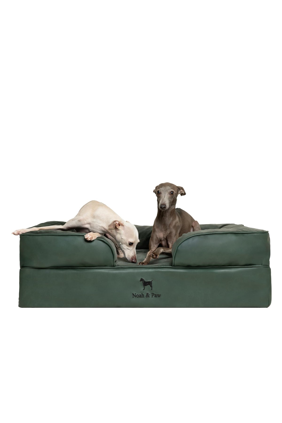 NOAH & PAW grand lit chien 35x25, soutien orthopédique et confort durable.