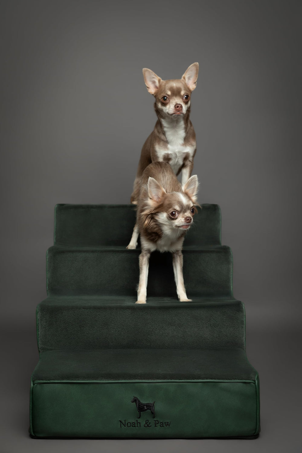 Noah & Paw housse amovible, 10 mm zip, lavage facile.