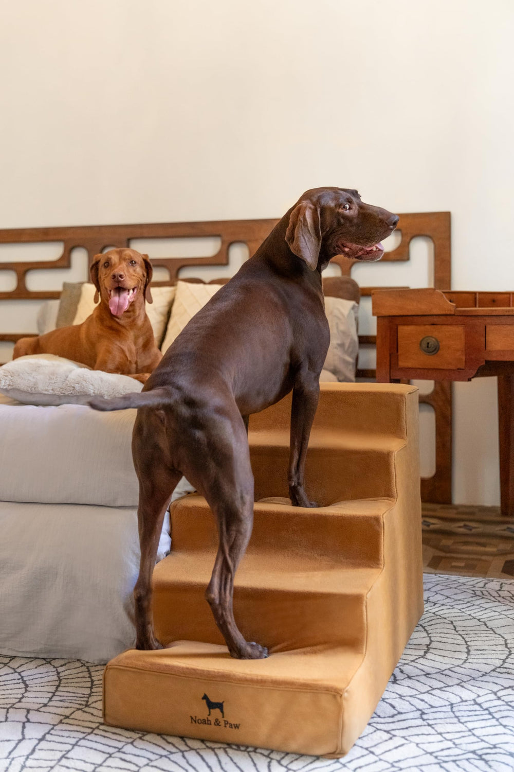 NOAH & PAW Housse amovible zippée, nettoyage facile des marches