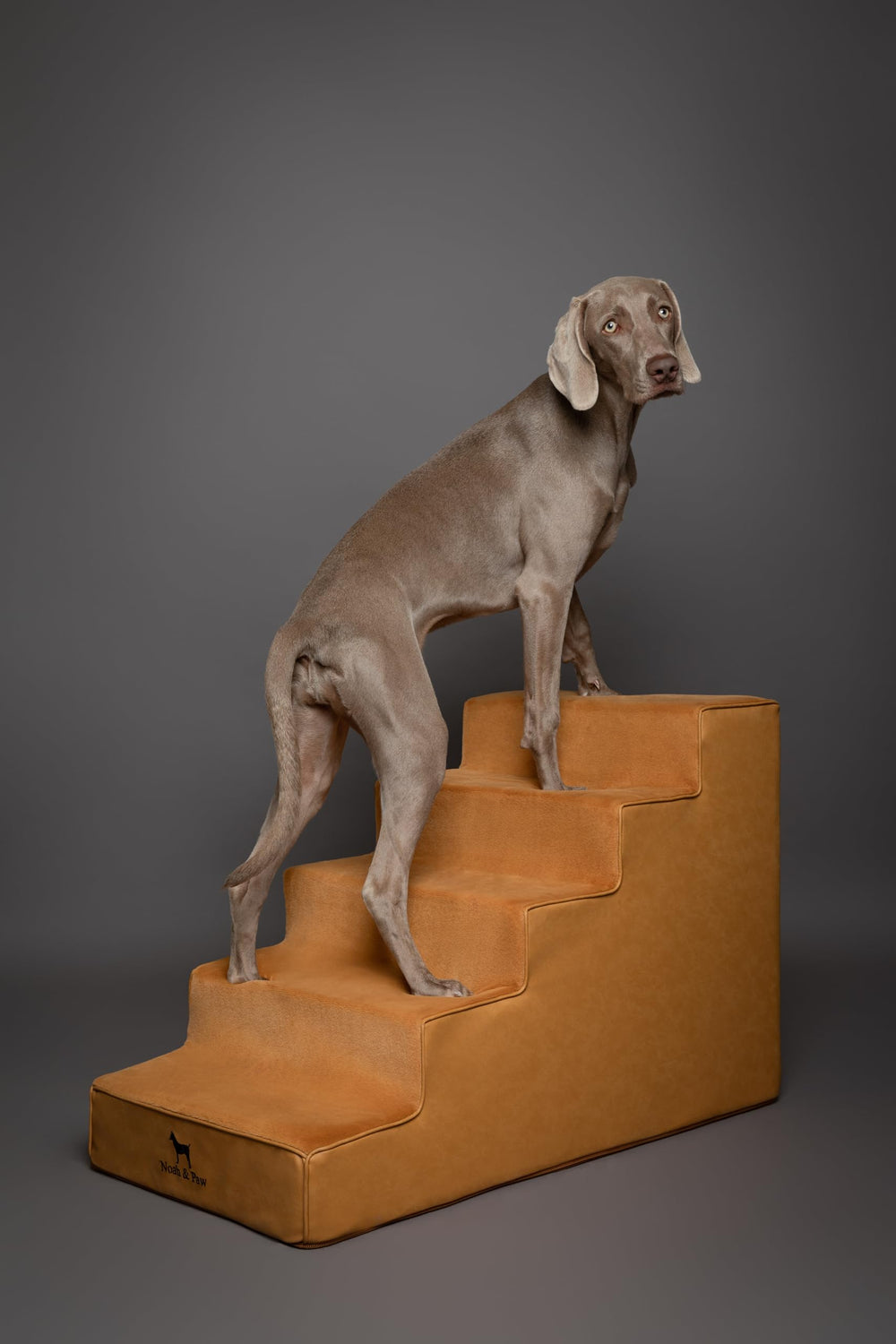 NOAH & PAW Housse lavable, entretien simple et efficace
