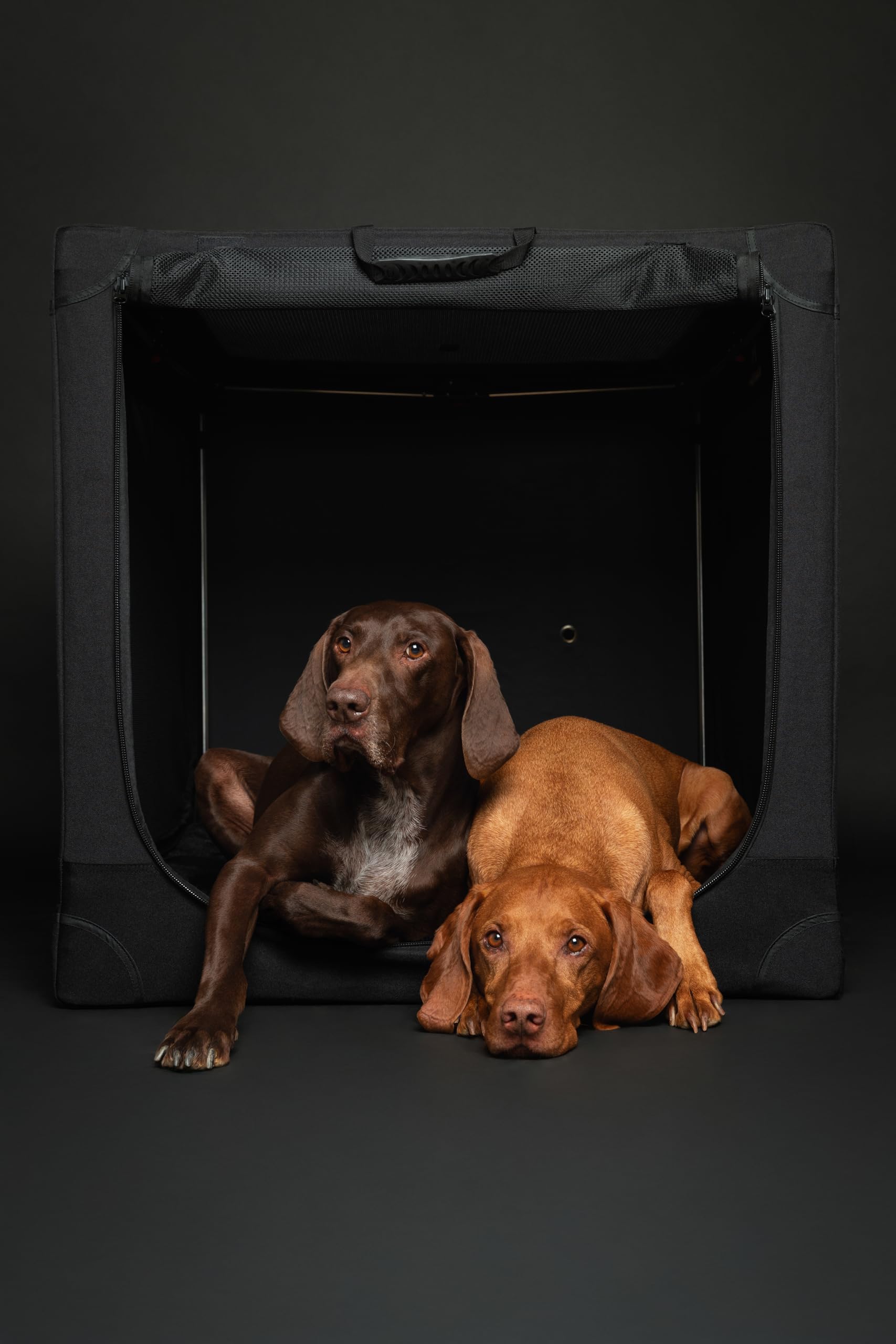 Housse oxford 900D Noah & Paw protégeant le chenil lors des trajets.