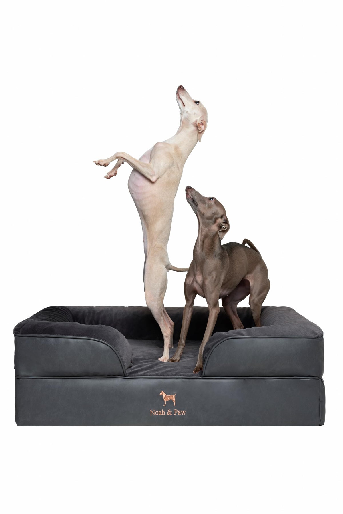 Lit orthopédique NOAH & PAW en mousse mémoire pour soutenir les articulations.