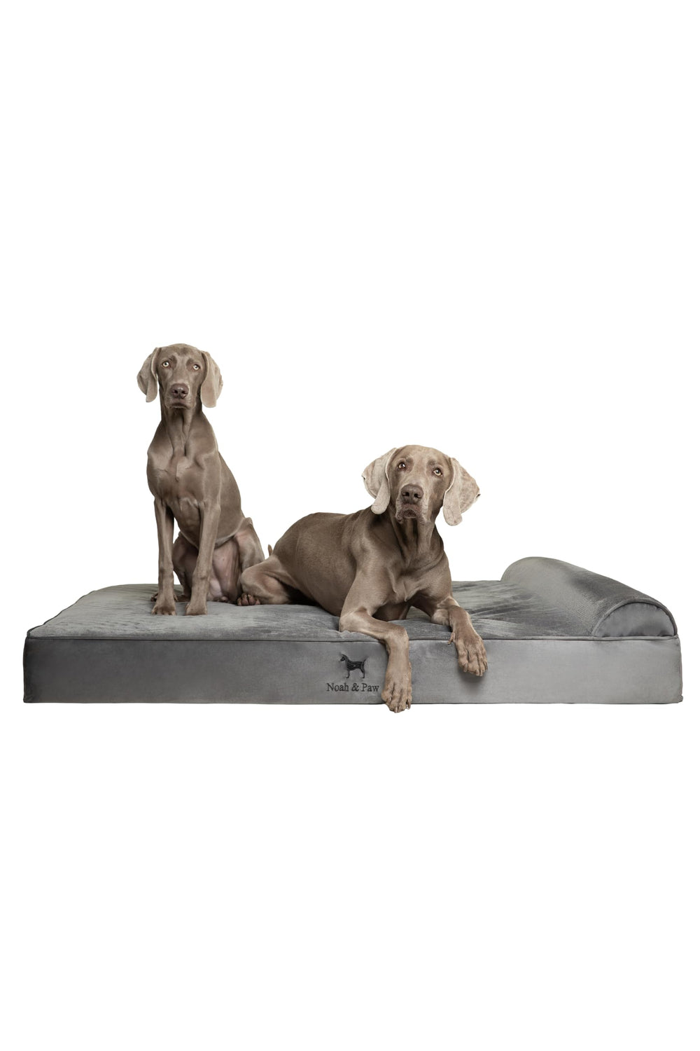 NOAH & PAW lit orthopédique XXL avec mousse mémoire gel rafraîchissante.