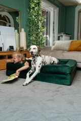 NOAH & PAW base 3 couches mémoire pour support durable et confort.