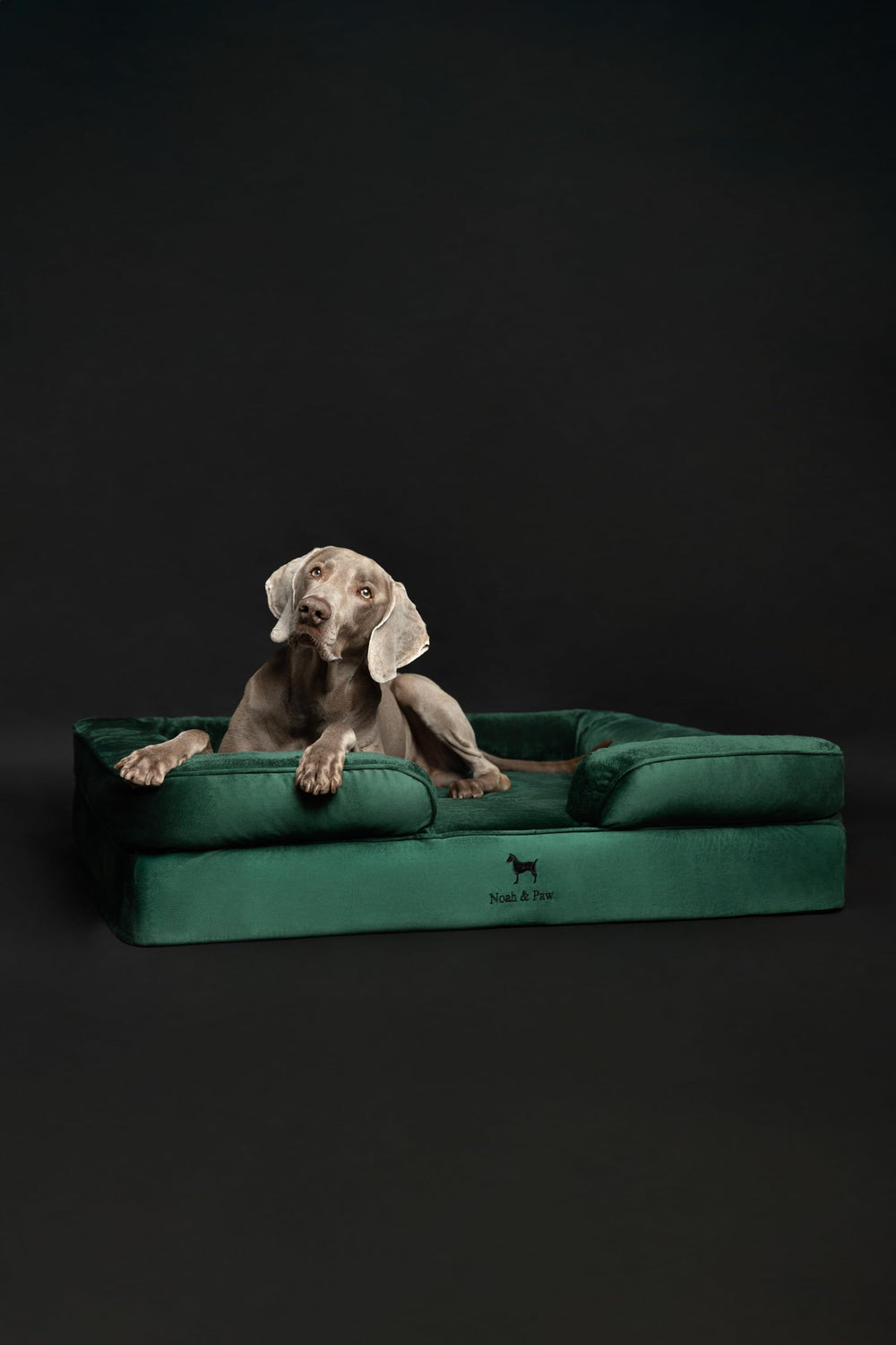 NOAH & PAW housse intérieure et extérieure lavables pour hygiène.
