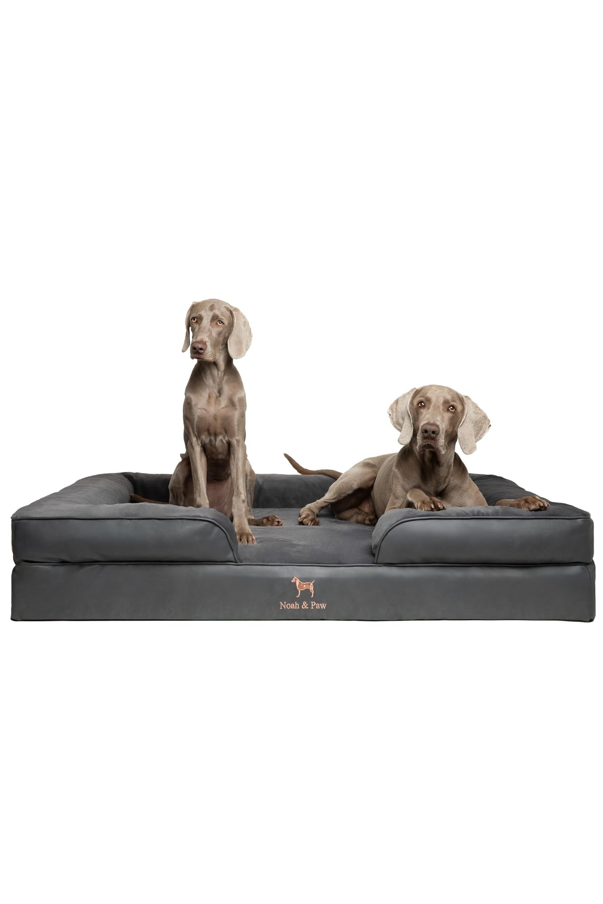 NOAH & PAW lit-chien XXL avec coussin orthopédique, soutien articulatoire durable.