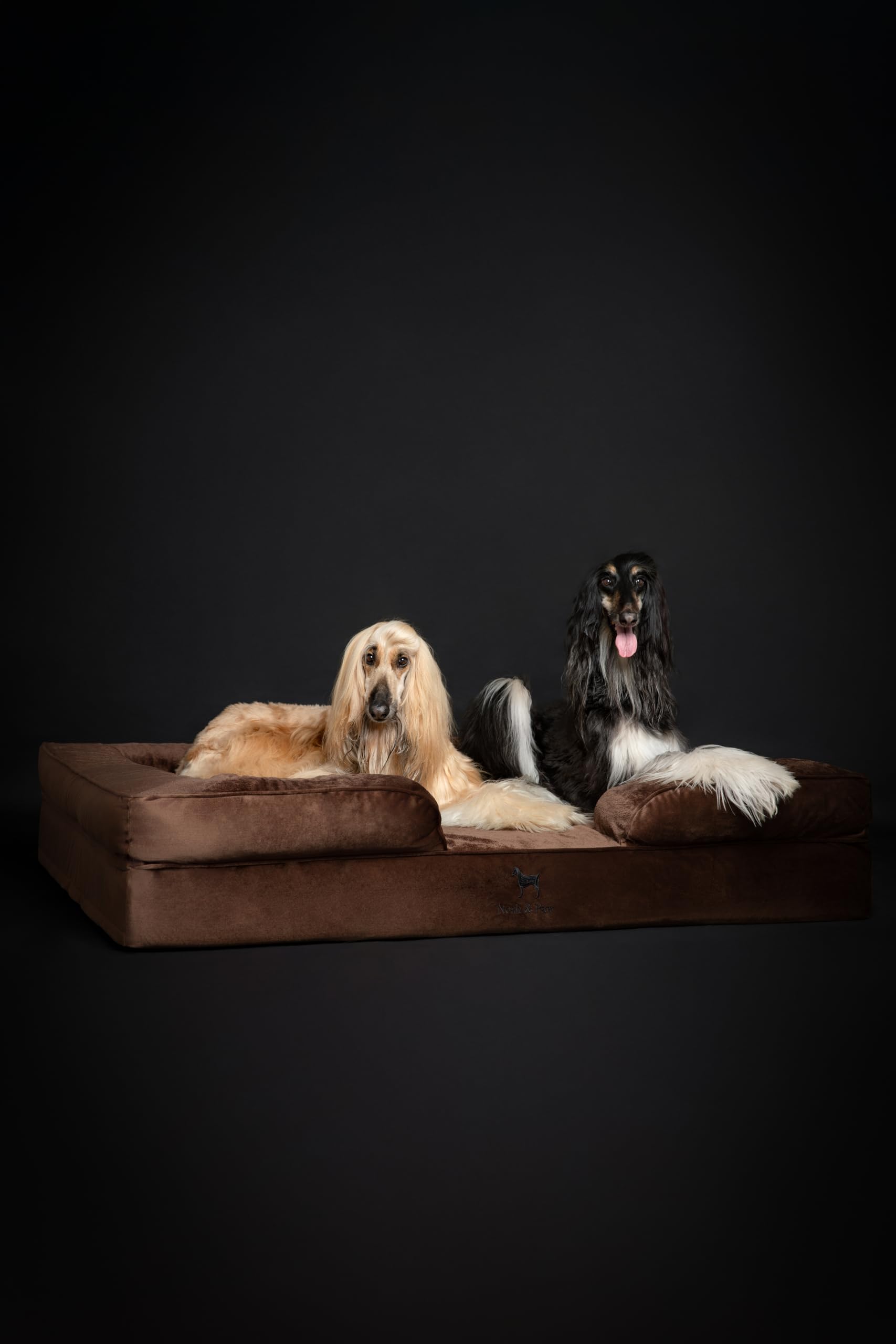 NOAH & PAW XXL dimensions 55x45x11 pouces adaptées aux grandes races.