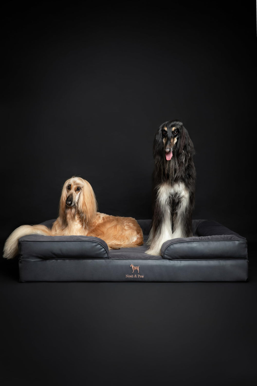NOAH & PAW lit-chien XXL dimensions généreuses 55x45x11 pouces.