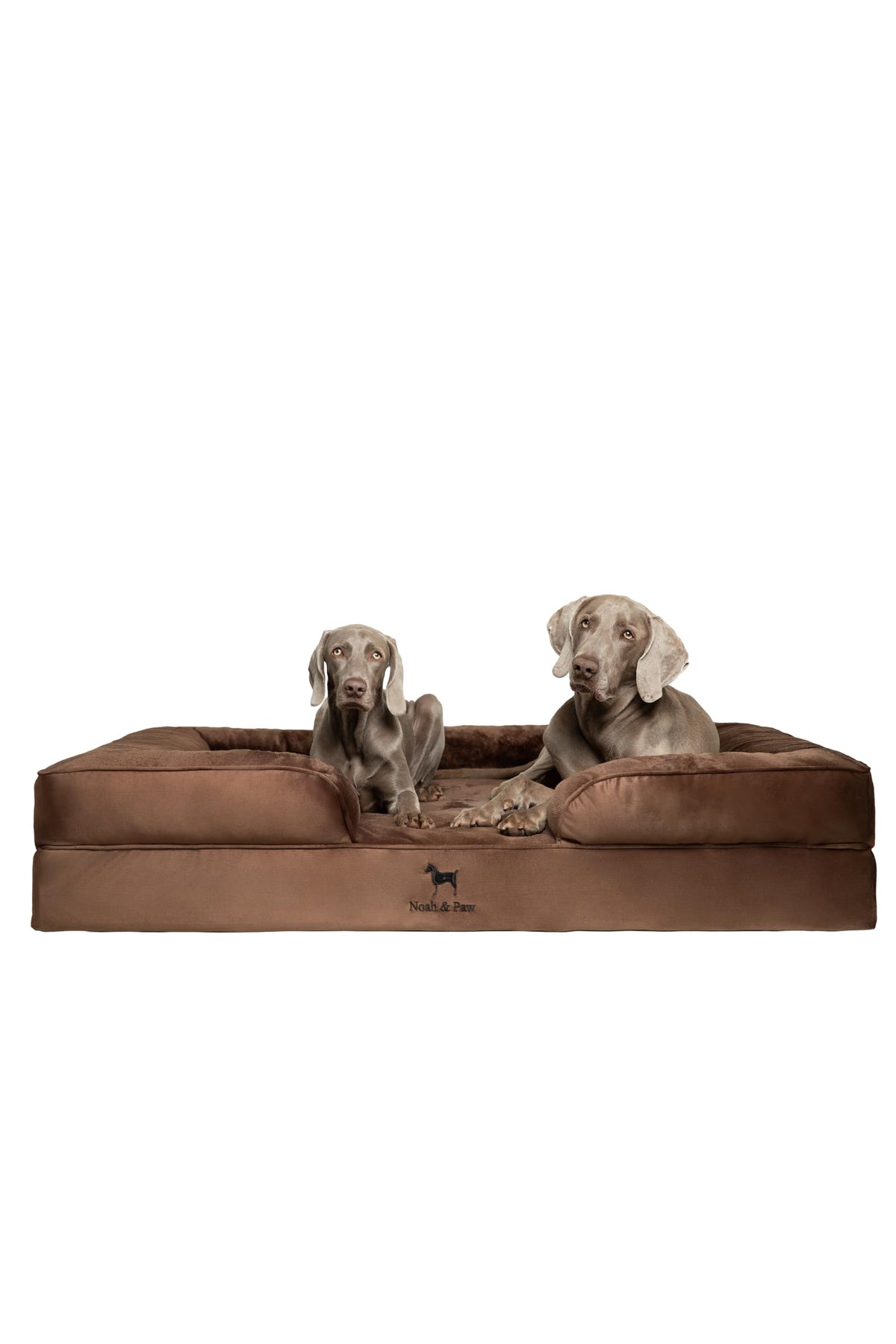 NOAH & PAW XXL lit chien emballage, prêt à déballer pour un démarrage rapide.
