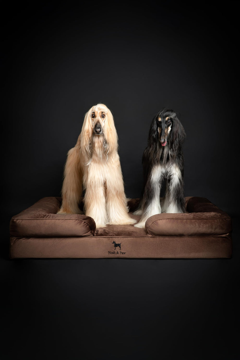 NOAH & PAW XXL structure orthopédique à trois couches pour soutien durable.
