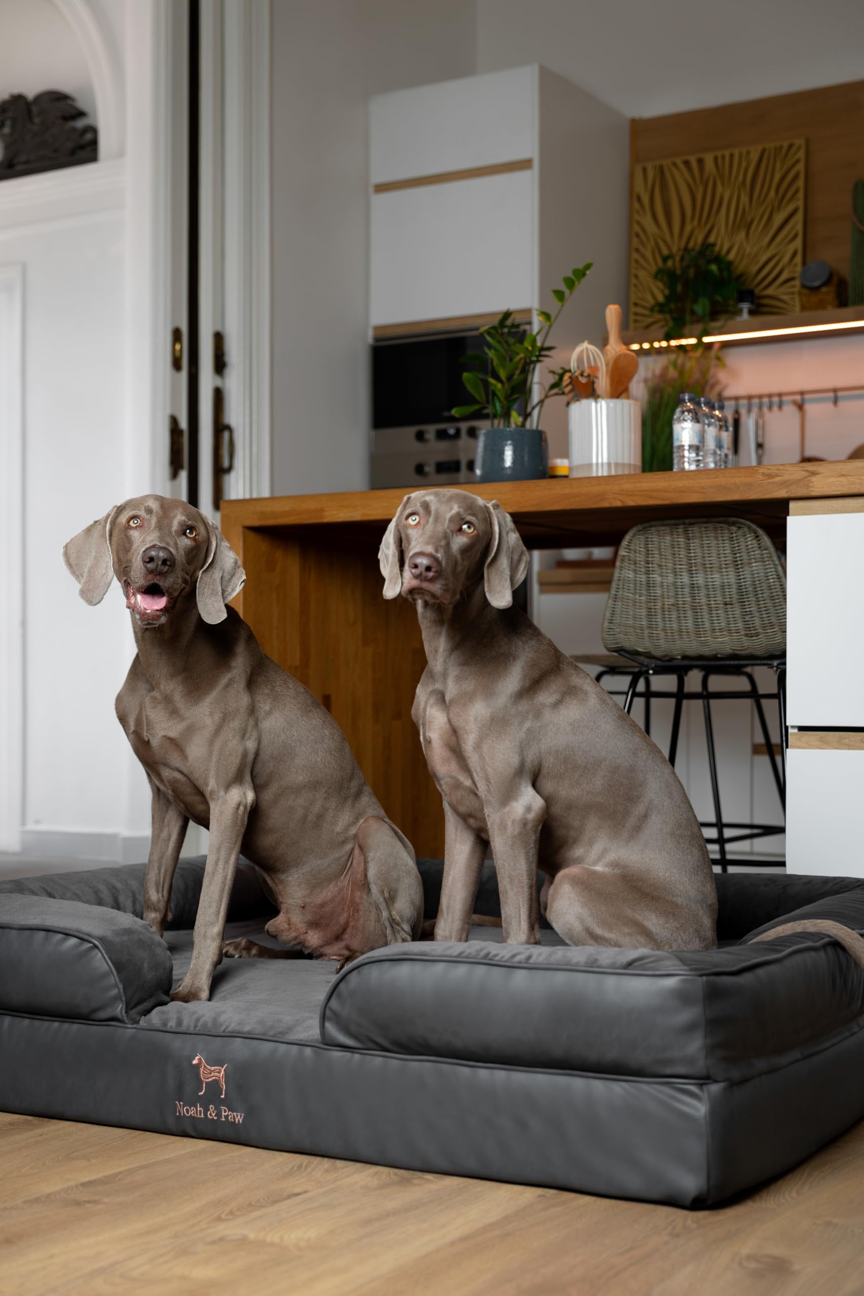 NOAH & PAW lit-chien XXL surface faux cuir résistante et élégante.