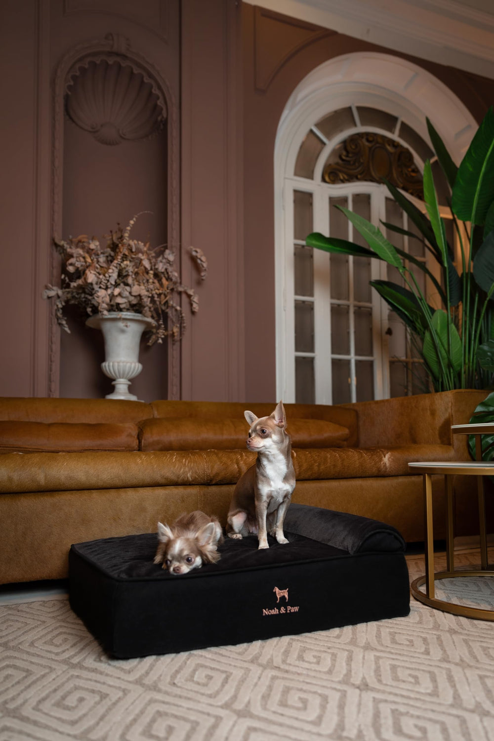 NOAH & PAW couverture extérieure impermeable: protection contre les taches