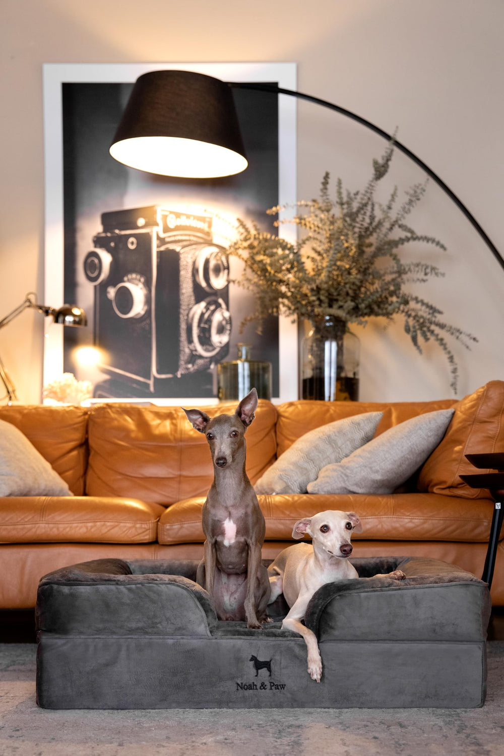NOAH & PAW mousse-memoire-coquille-doeuf: soutien ergonomique adaptable