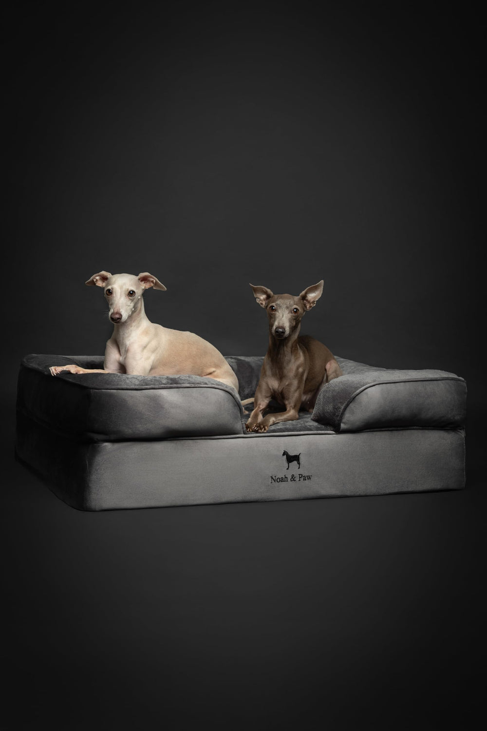 NOAH & PAW taille 35x25x11: adapté pour grandes races et espaces variés