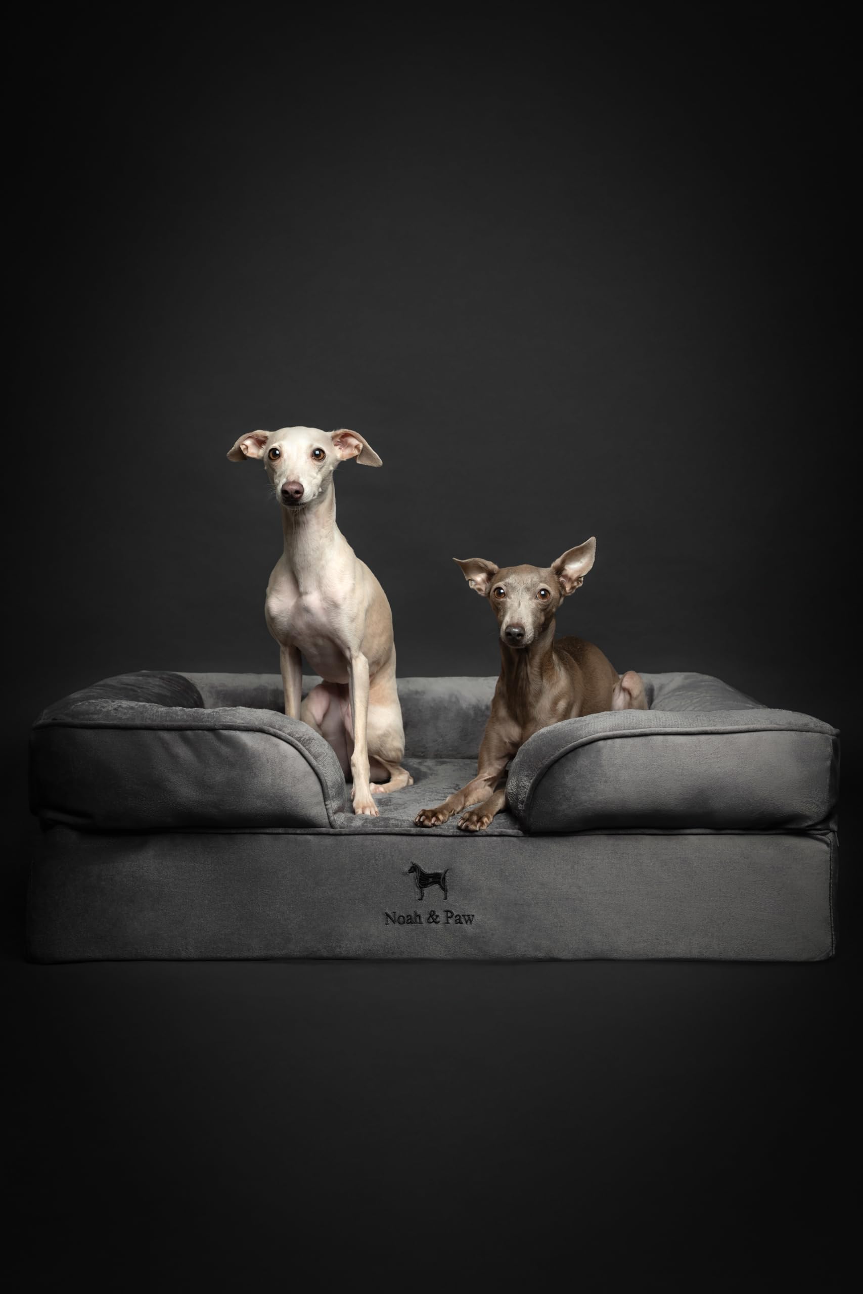 NOAH & PAW tissu velours doux: surface luxueuse et agréable au toucher