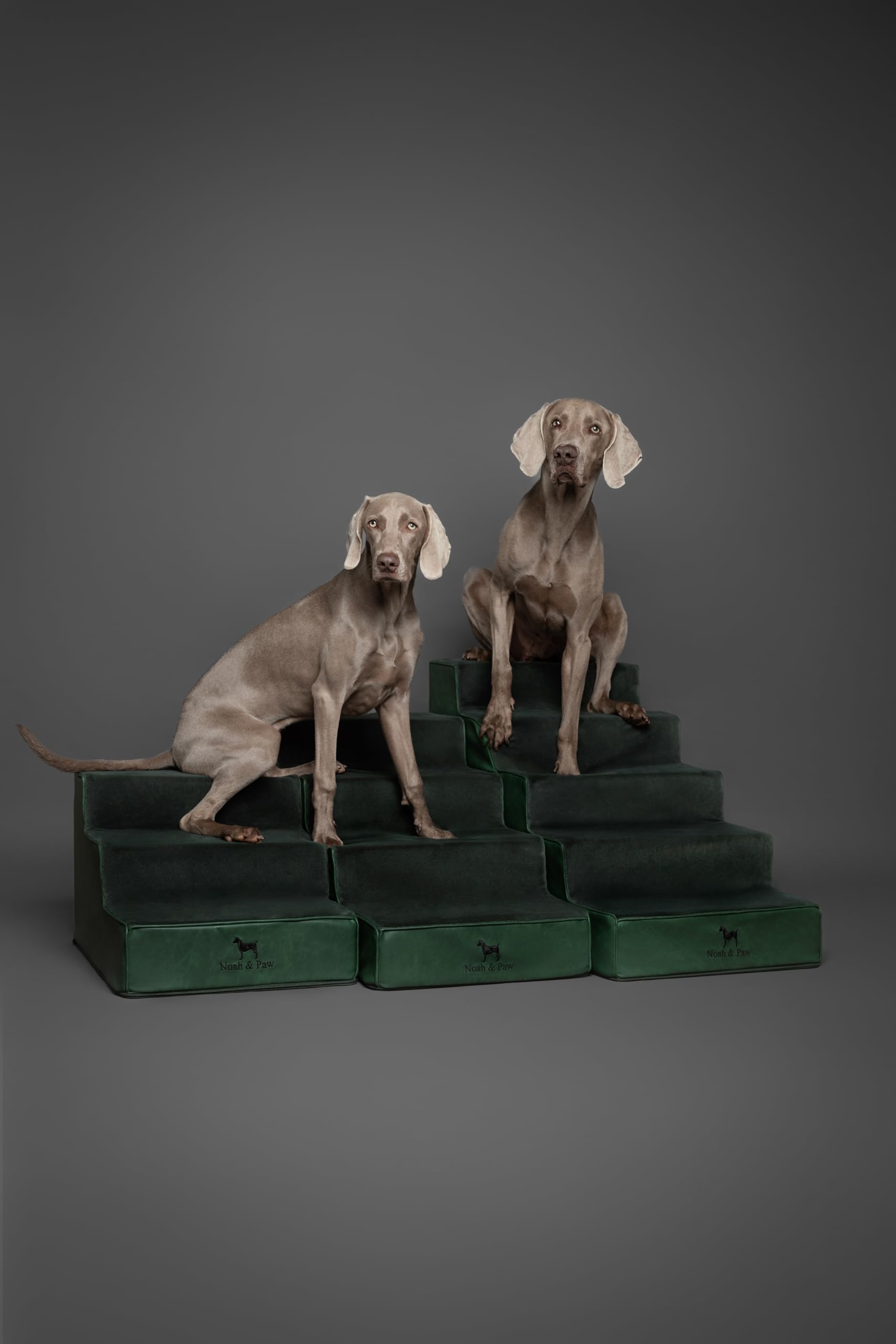 Noah & Paw mousse haute densité 35, soutien durable.