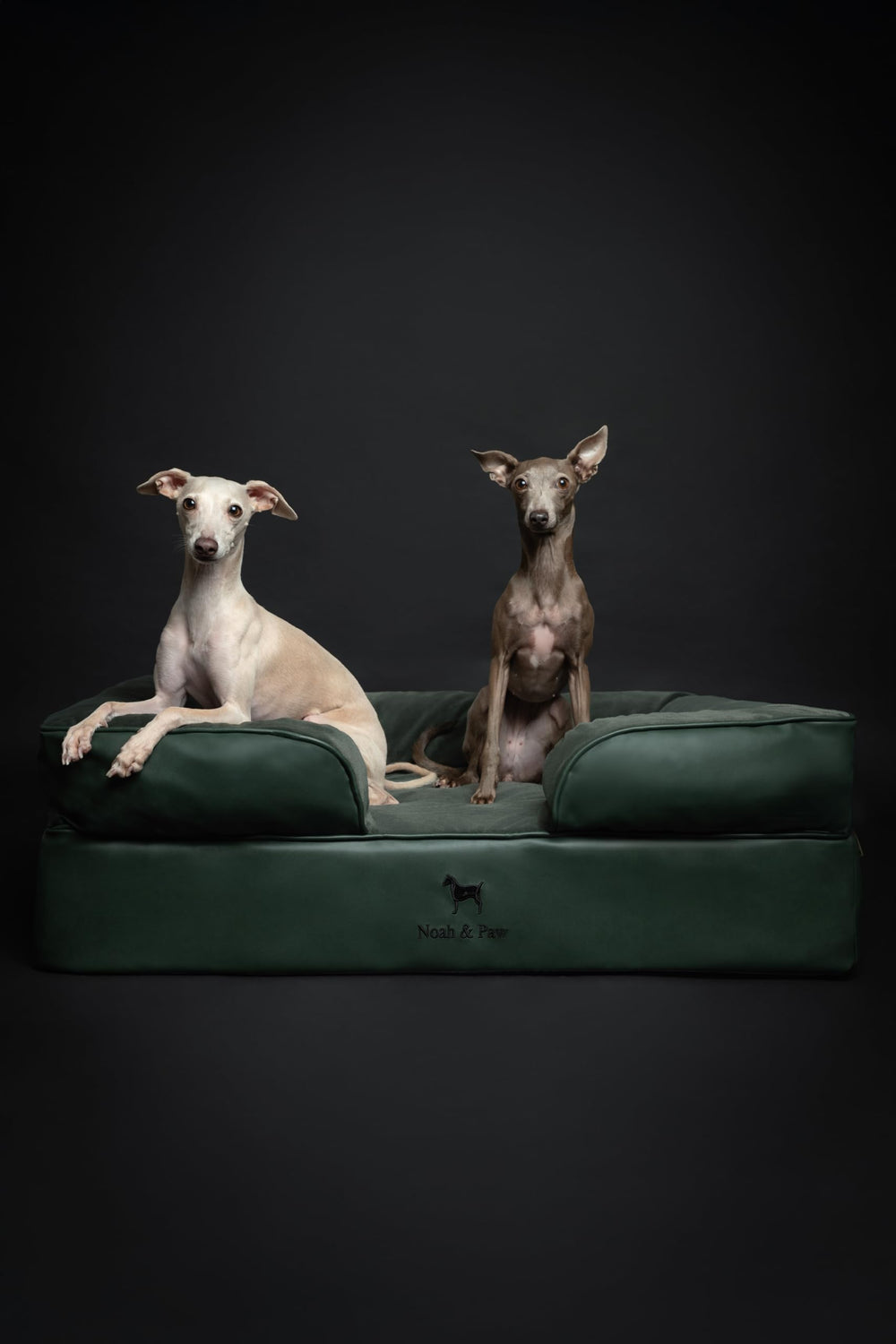 NOAH & PAW oreiller-bourrelet pour un maintien confortable.