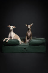 NOAH & PAW oreiller-bourrelet pour un maintien confortable.