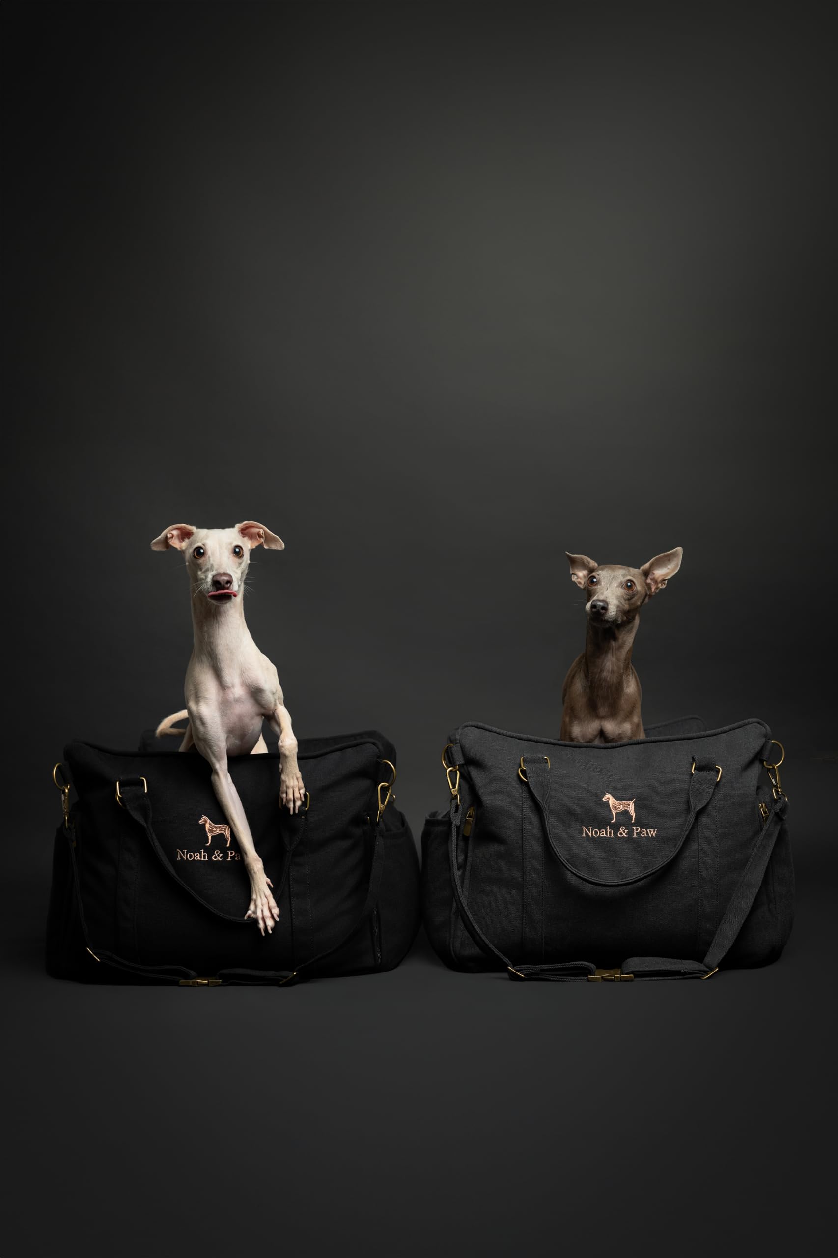 NOAH & PAW poignées robustes facilitant le transport