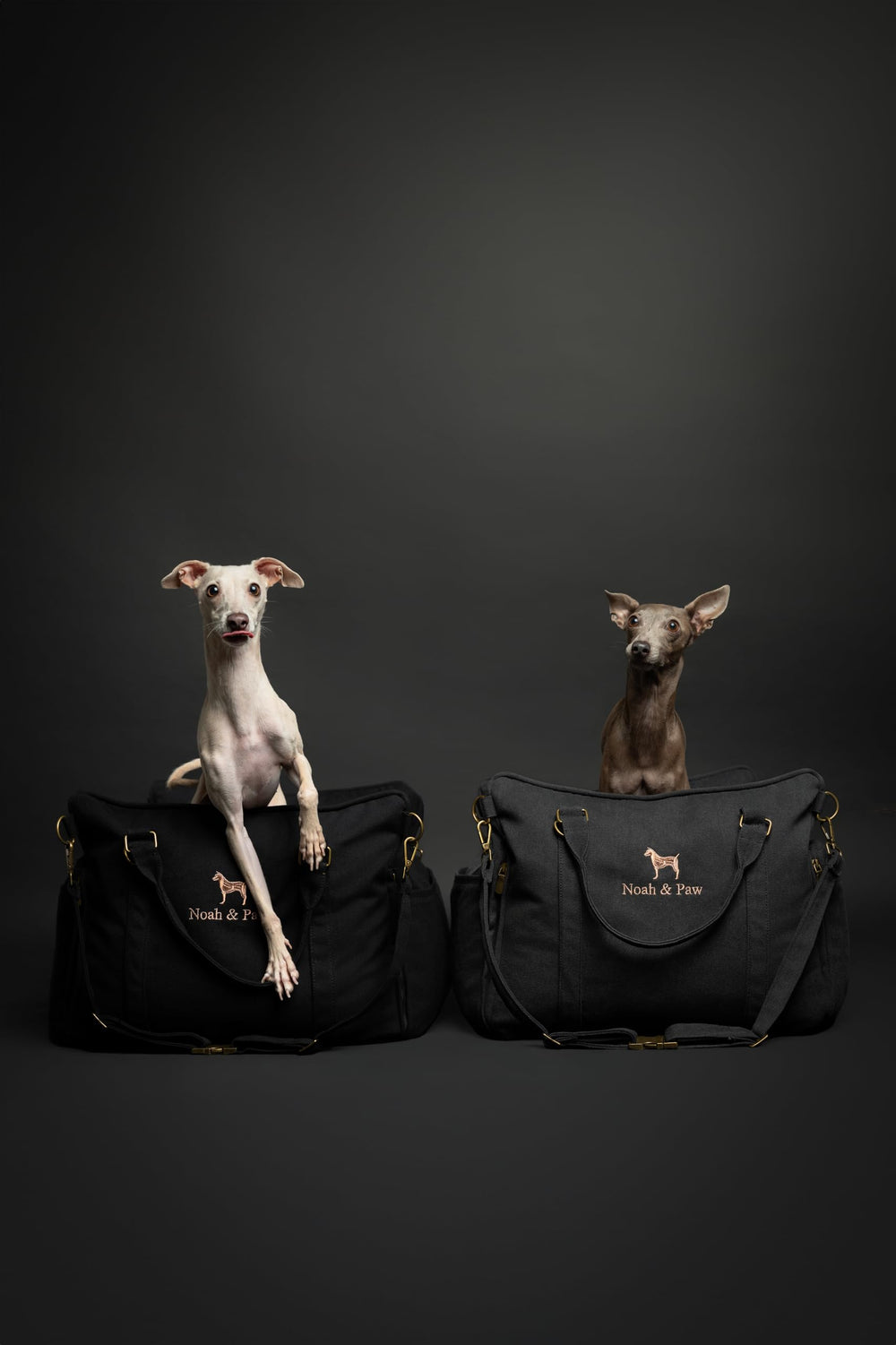 NOAH & PAW poignées robustes facilitant le transport