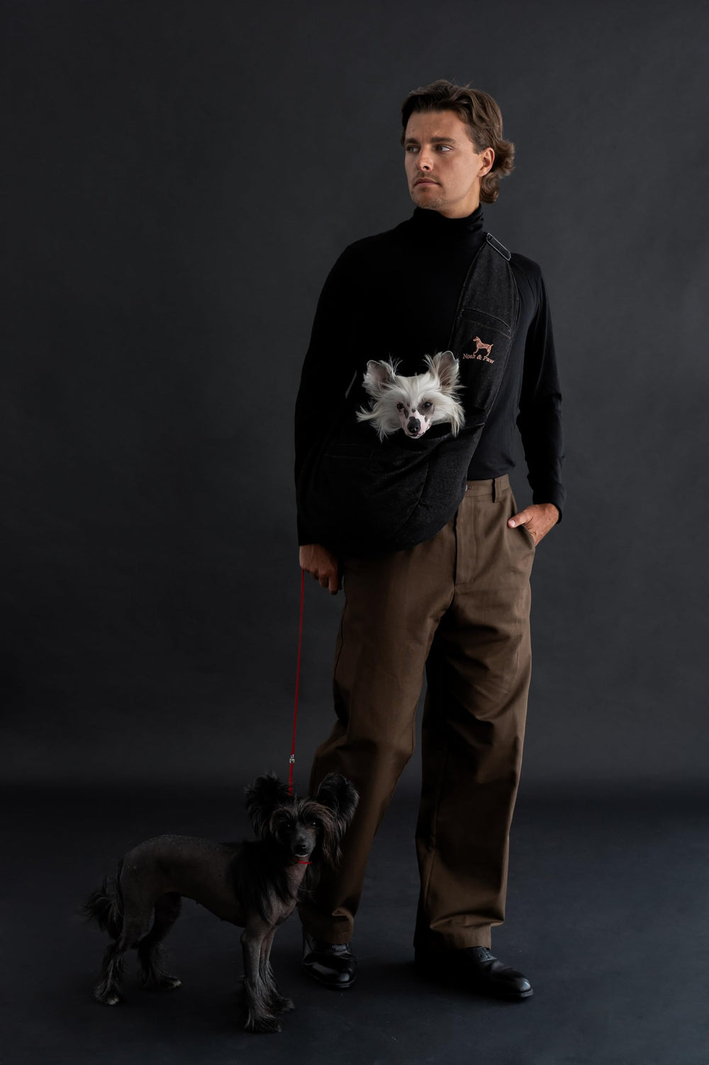 Porte-chien Noah & Paw avec denim et doublure fourrure pour plus de confort.