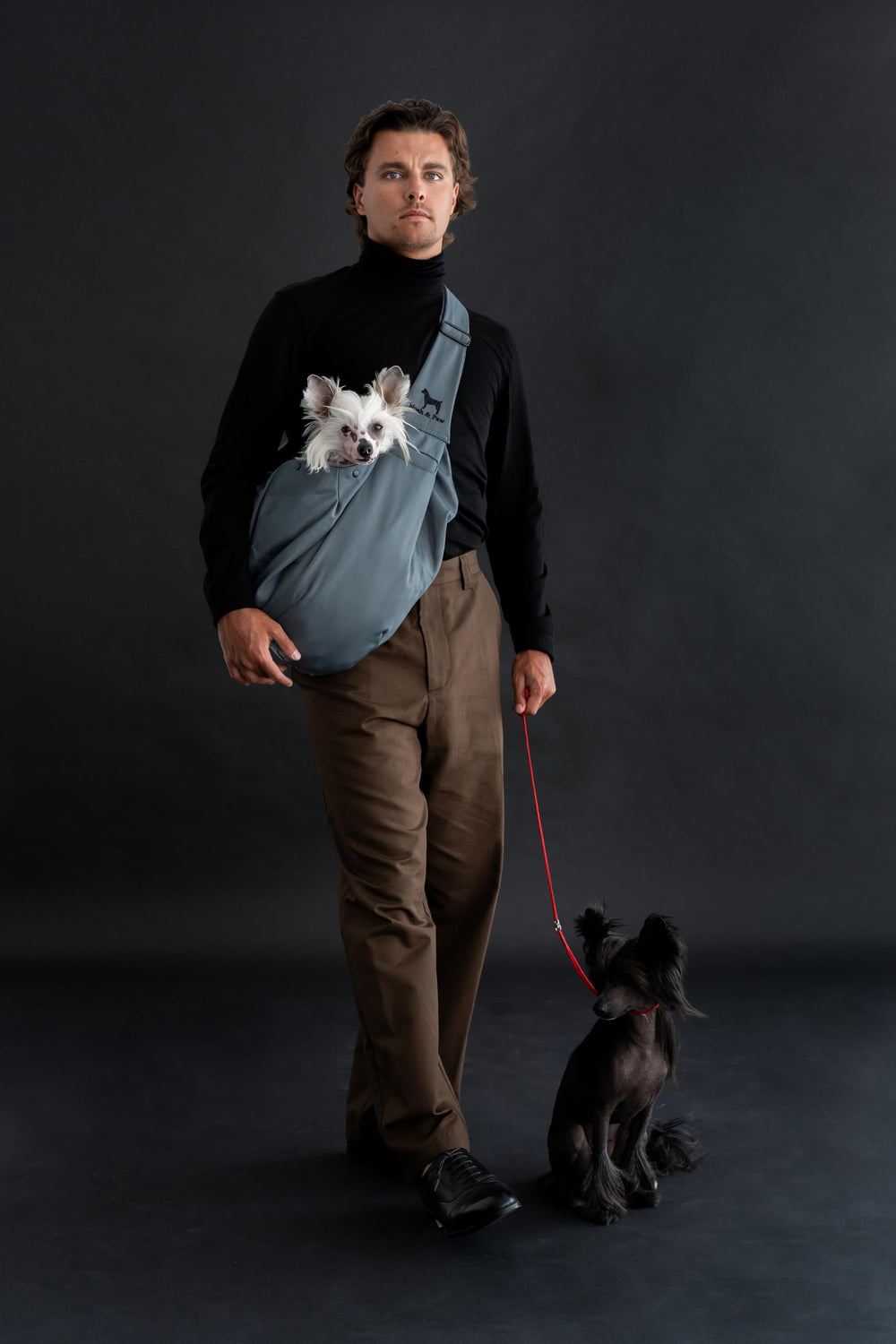 Intérieur doux et doublure confortable du porte-chien