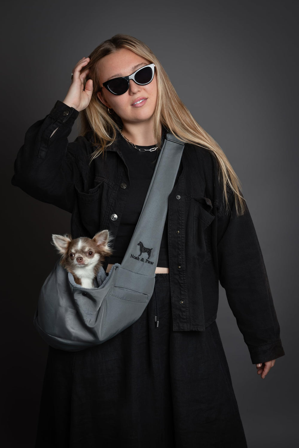 NOAH & PAW porte-chien, utilisation urbaine pratique et légère.