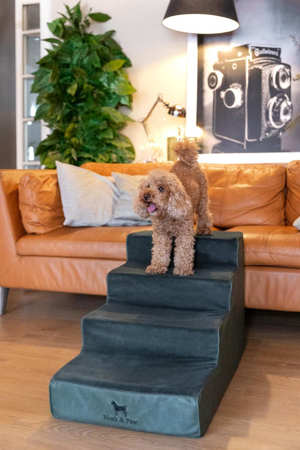 Noah & Paw rampe chien 17 pouces, stabilité sûre pour lit.