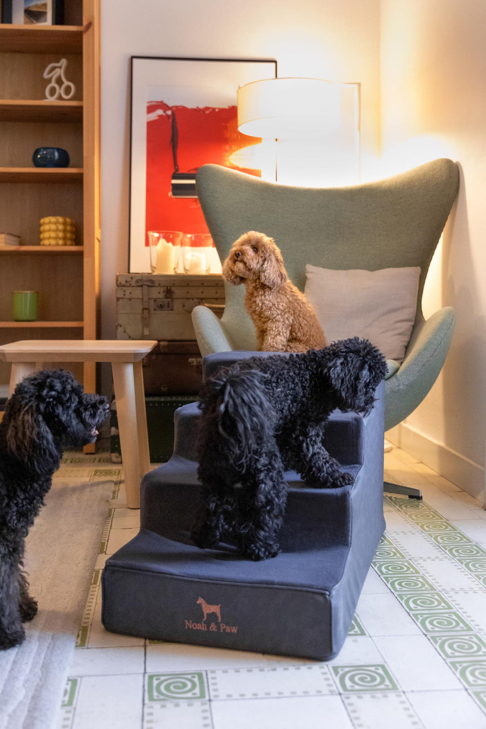 Noah & Paw Rampe lit 17 pouces, extragrande et stable pour chiens.