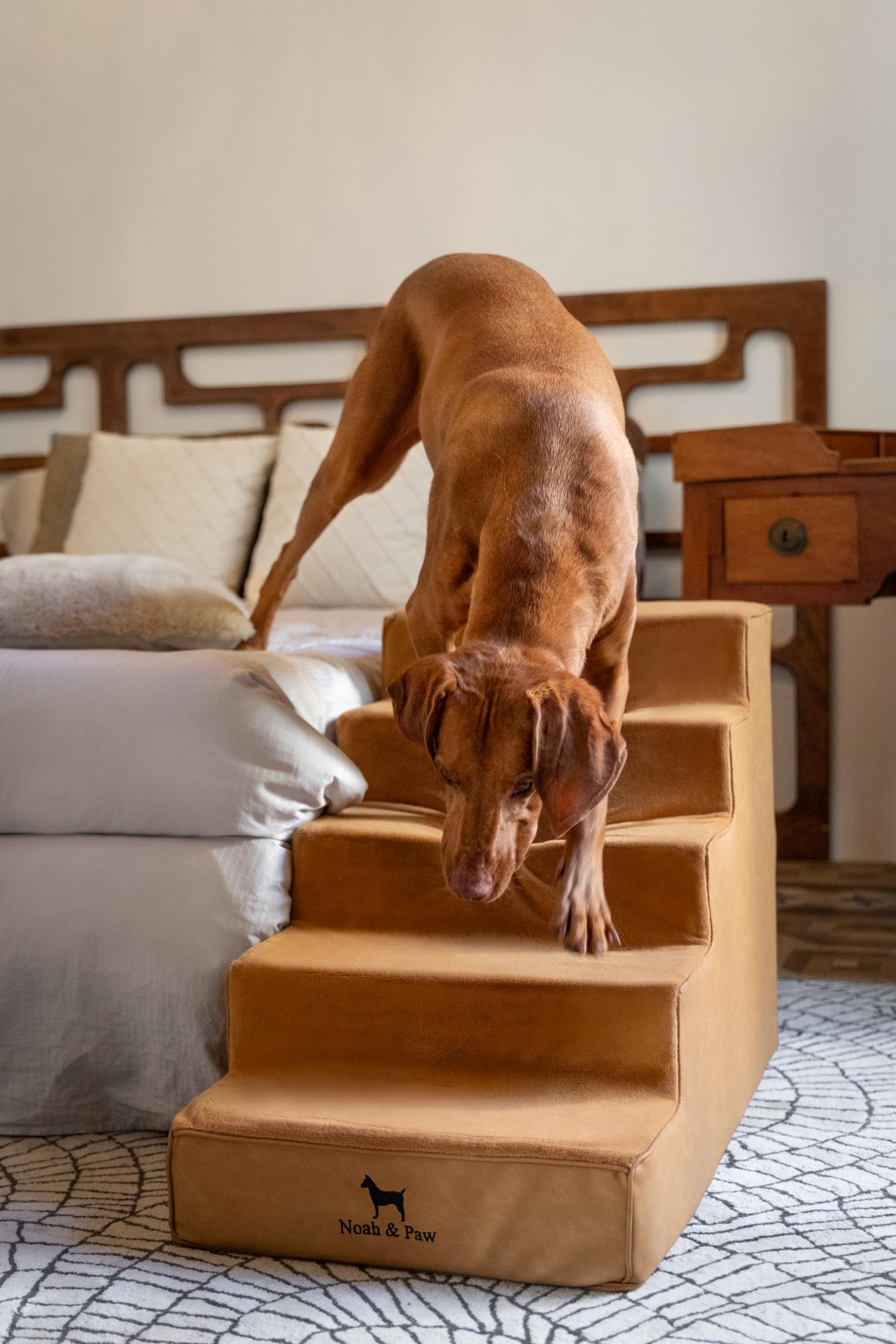 NOAH & PAW Rampe lit 20 pouces très large, pratique pour salons et chambres