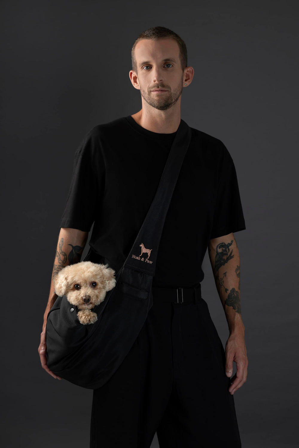 Noah & Paw porte-chien sécurité double pour promenade sûre.