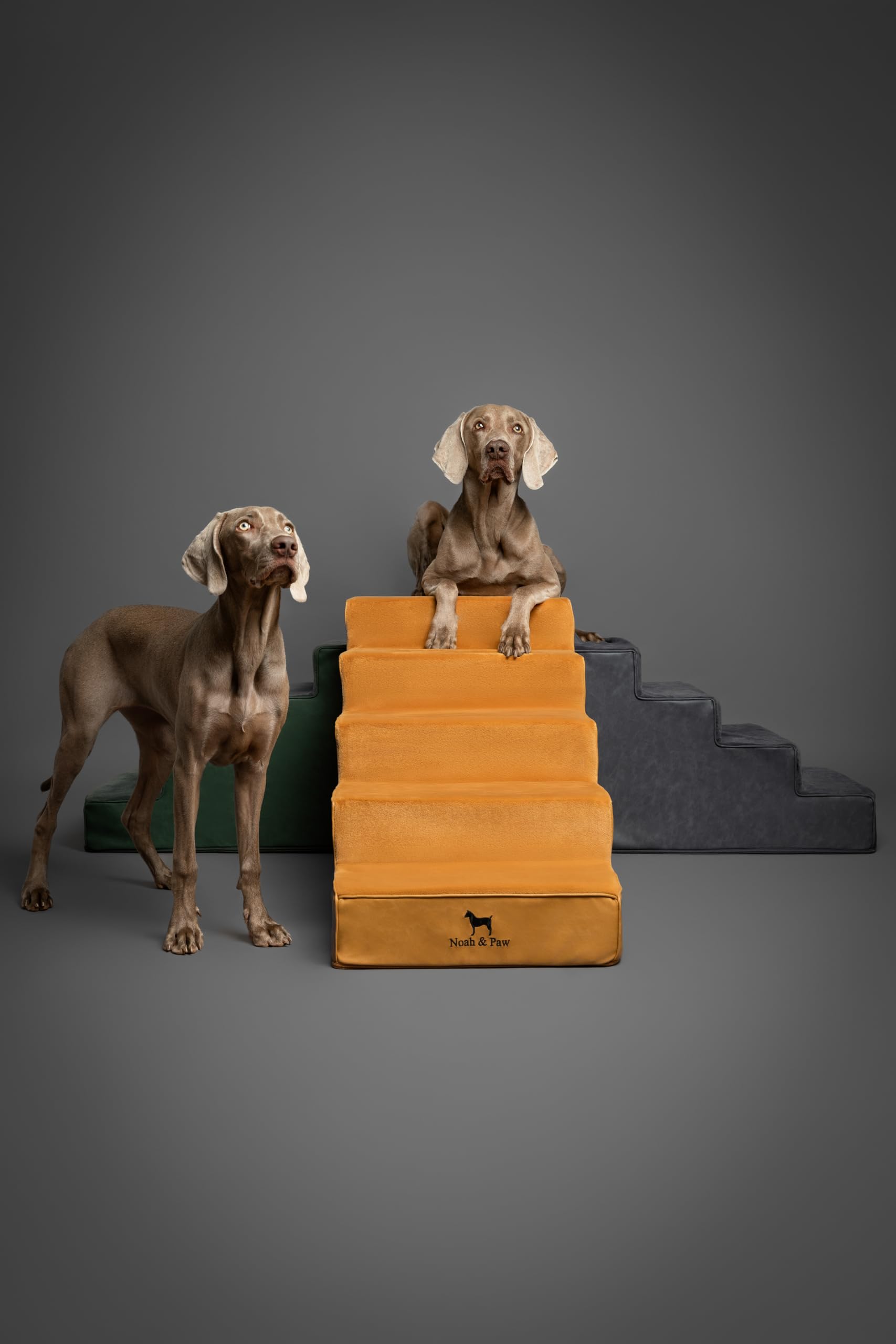 NOAH & PAW Utilisation confortable pour petits et grands chiens sur lit ou canapé