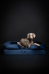 NOAH & PAW XL couches intérieures et extérieures lavables: entretien facile.