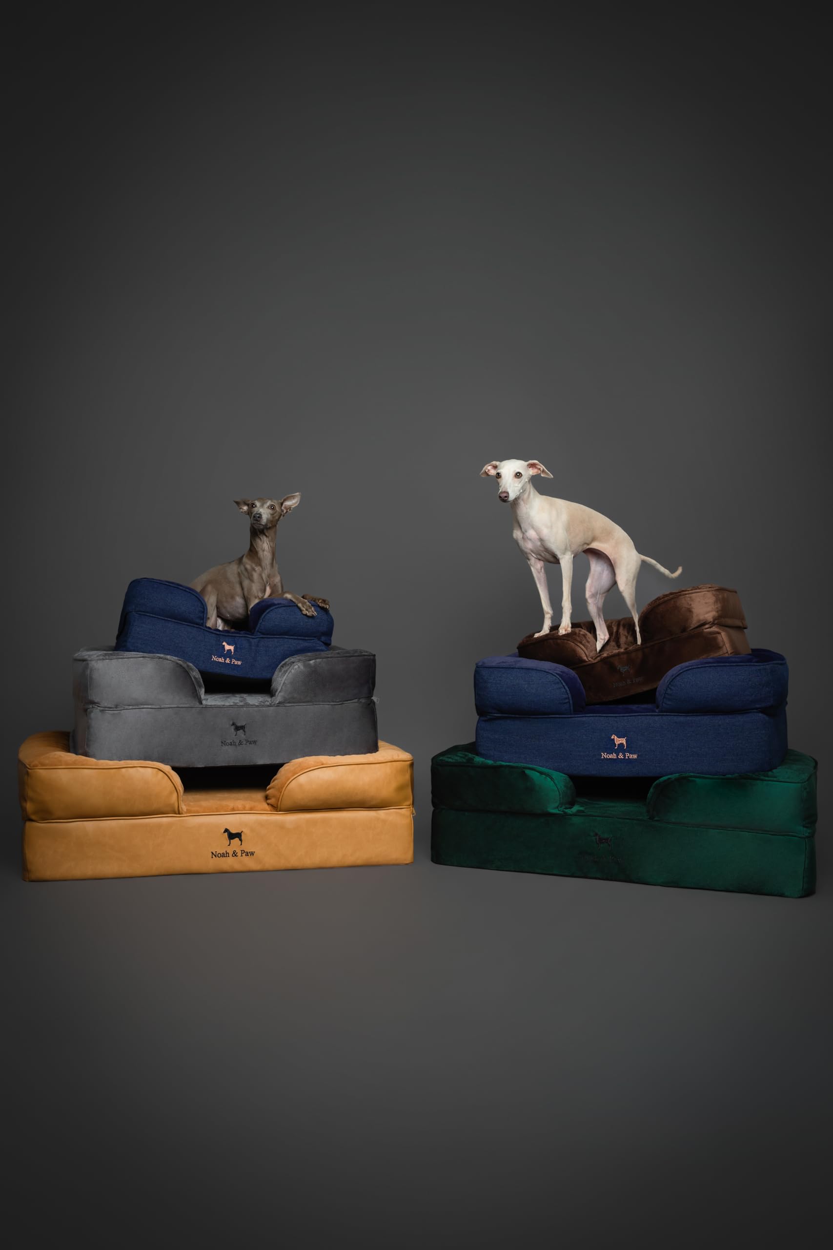 NOAH et PAW XL lit adapté pour grands chiens et chiens de grande taille.