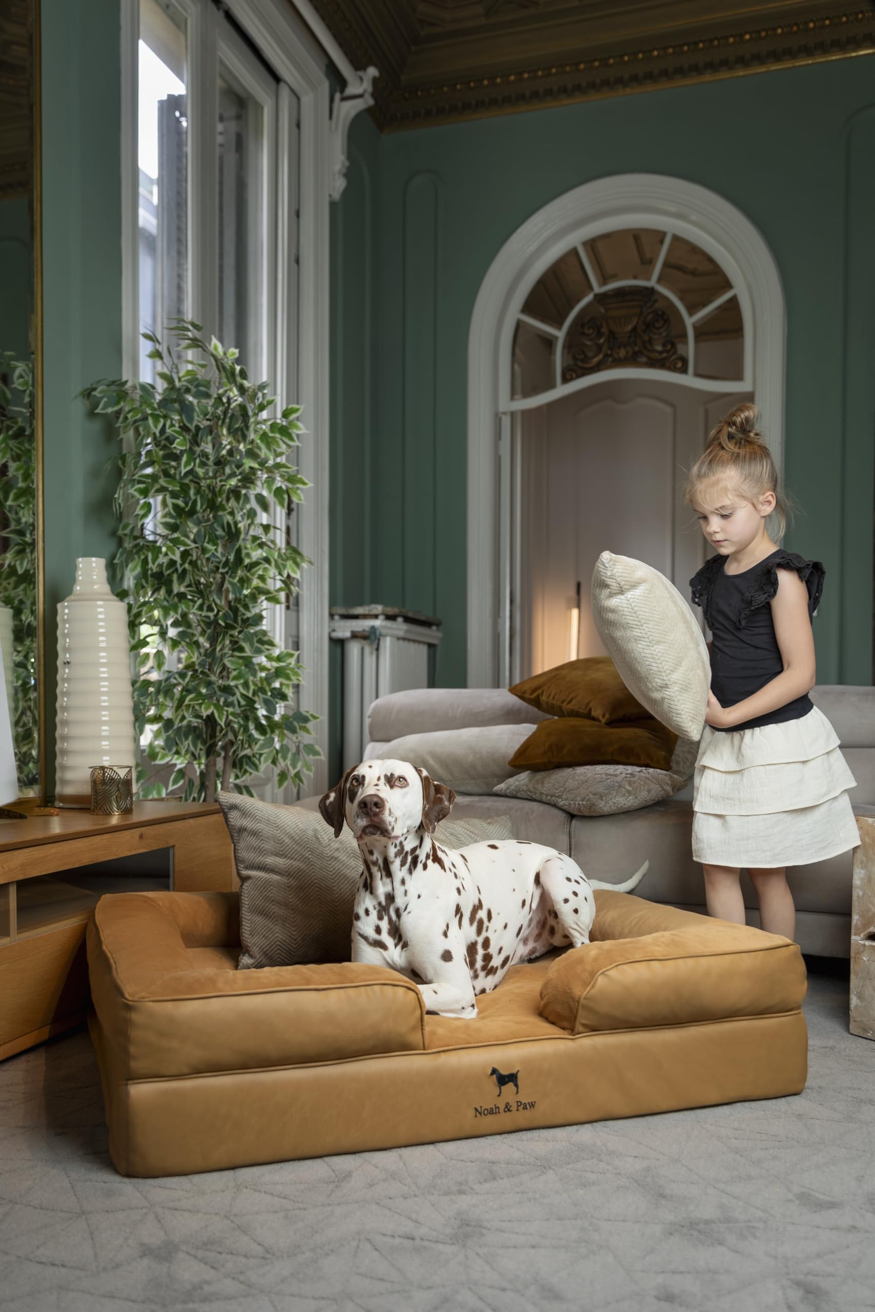 Noah & Paw XL: base 6 pouces offrant stabilité et confort.