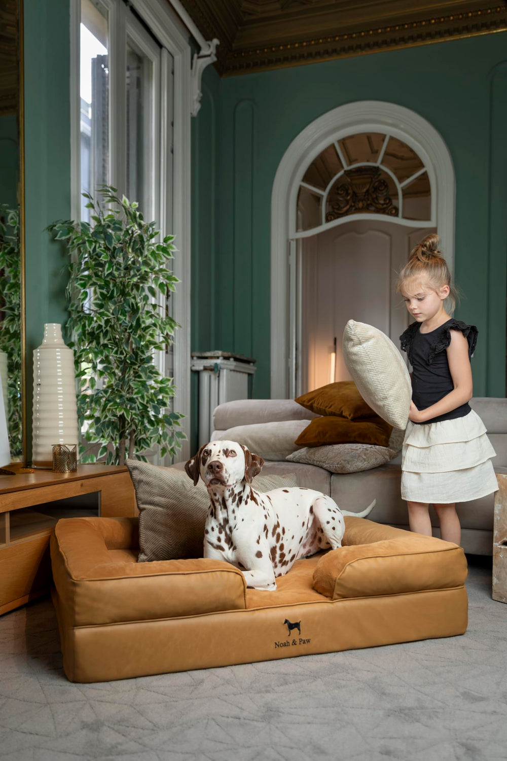 Noah & Paw XL: base 6 pouces offrant stabilité et confort.