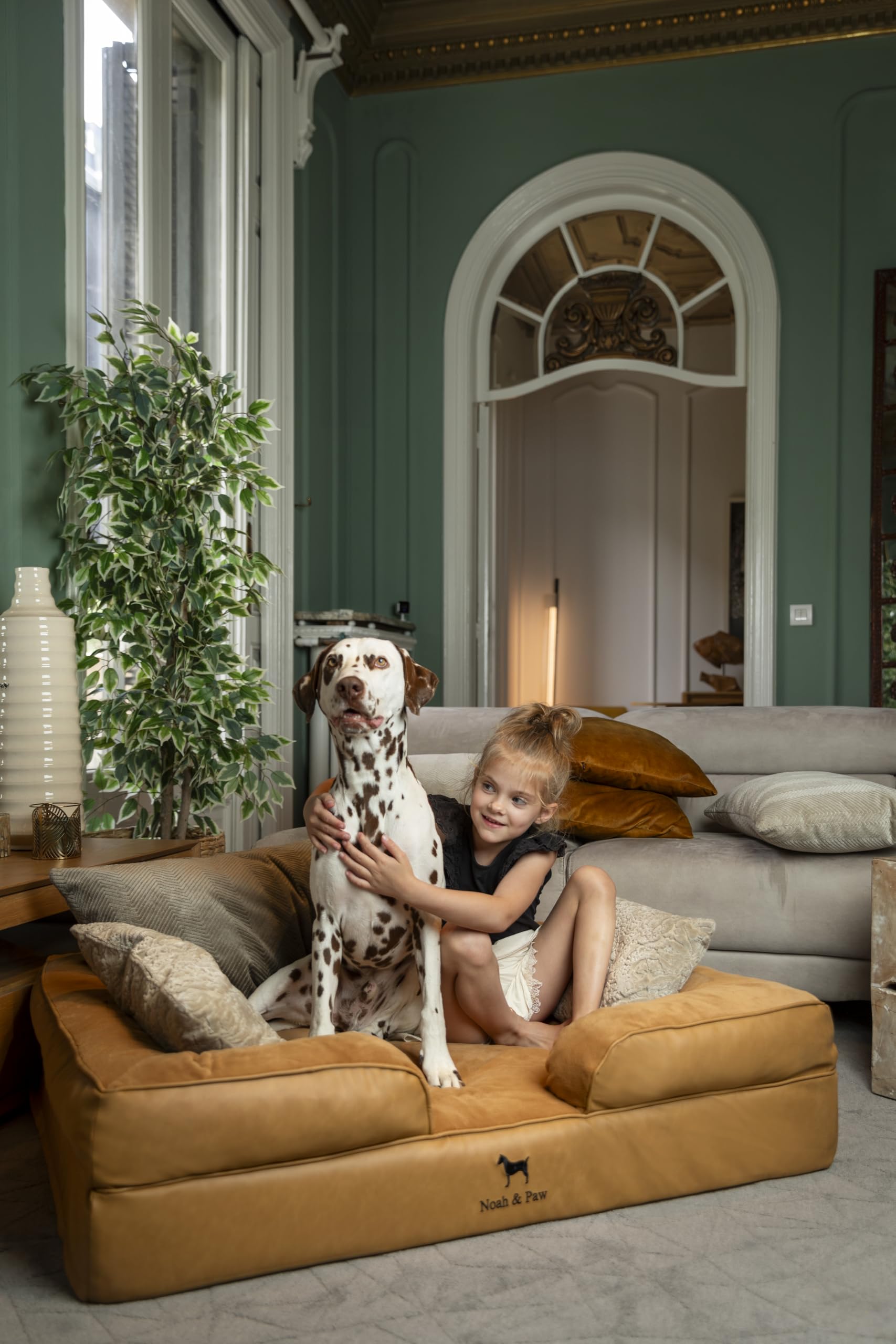 Noah & Paw XL: structure à 3 couches pour un soutien fiable.