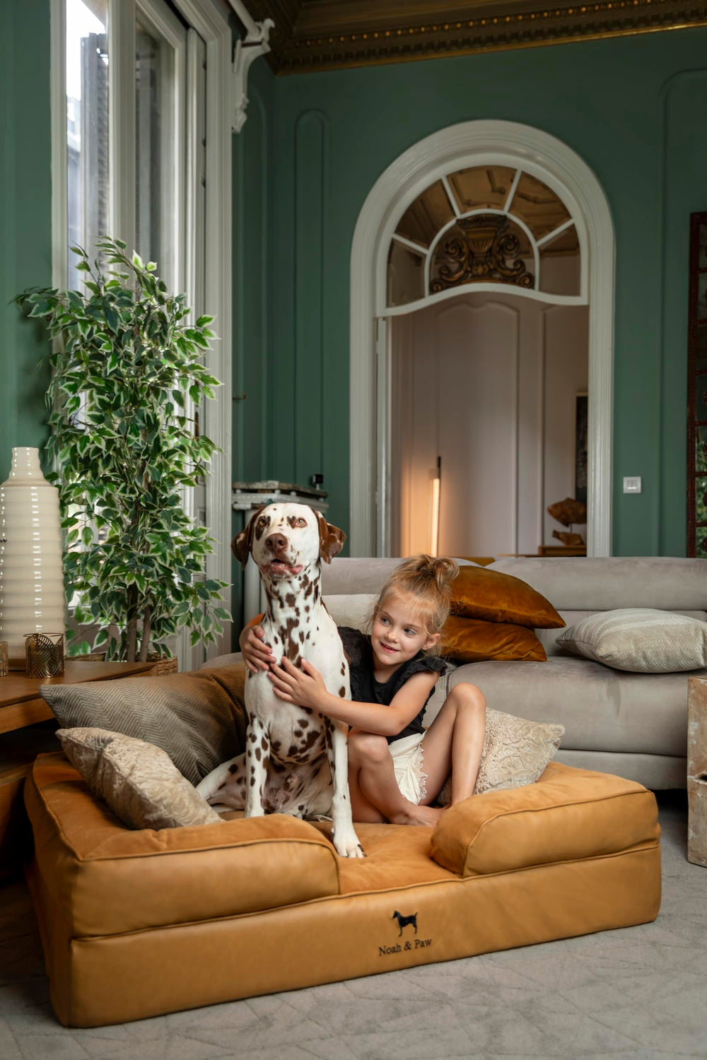Noah & Paw XL: structure à 3 couches pour un soutien fiable.
