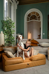 Noah & Paw XL: structure à 3 couches pour un soutien fiable.