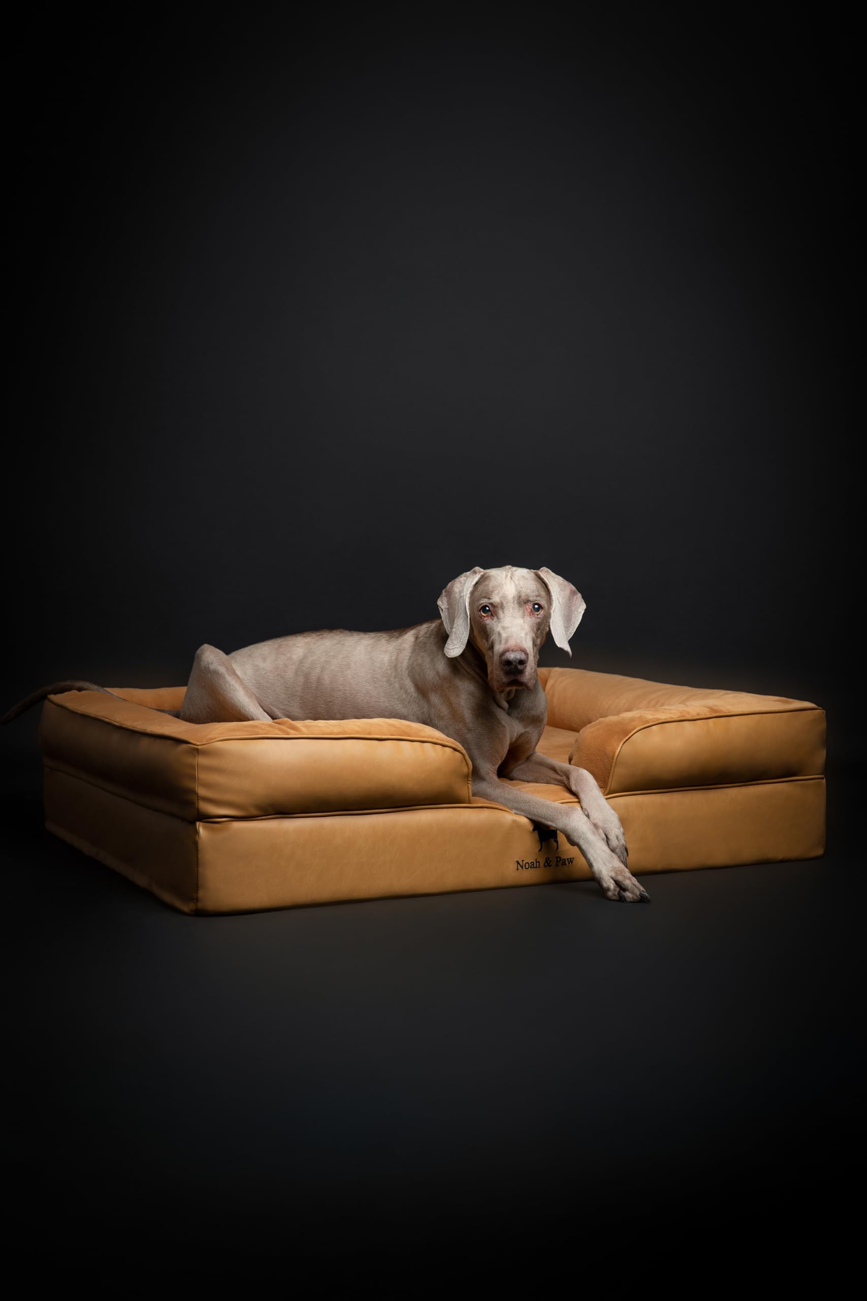 Noah & Paw XL: dimensions 45x35x11 pouces pour grandes races.