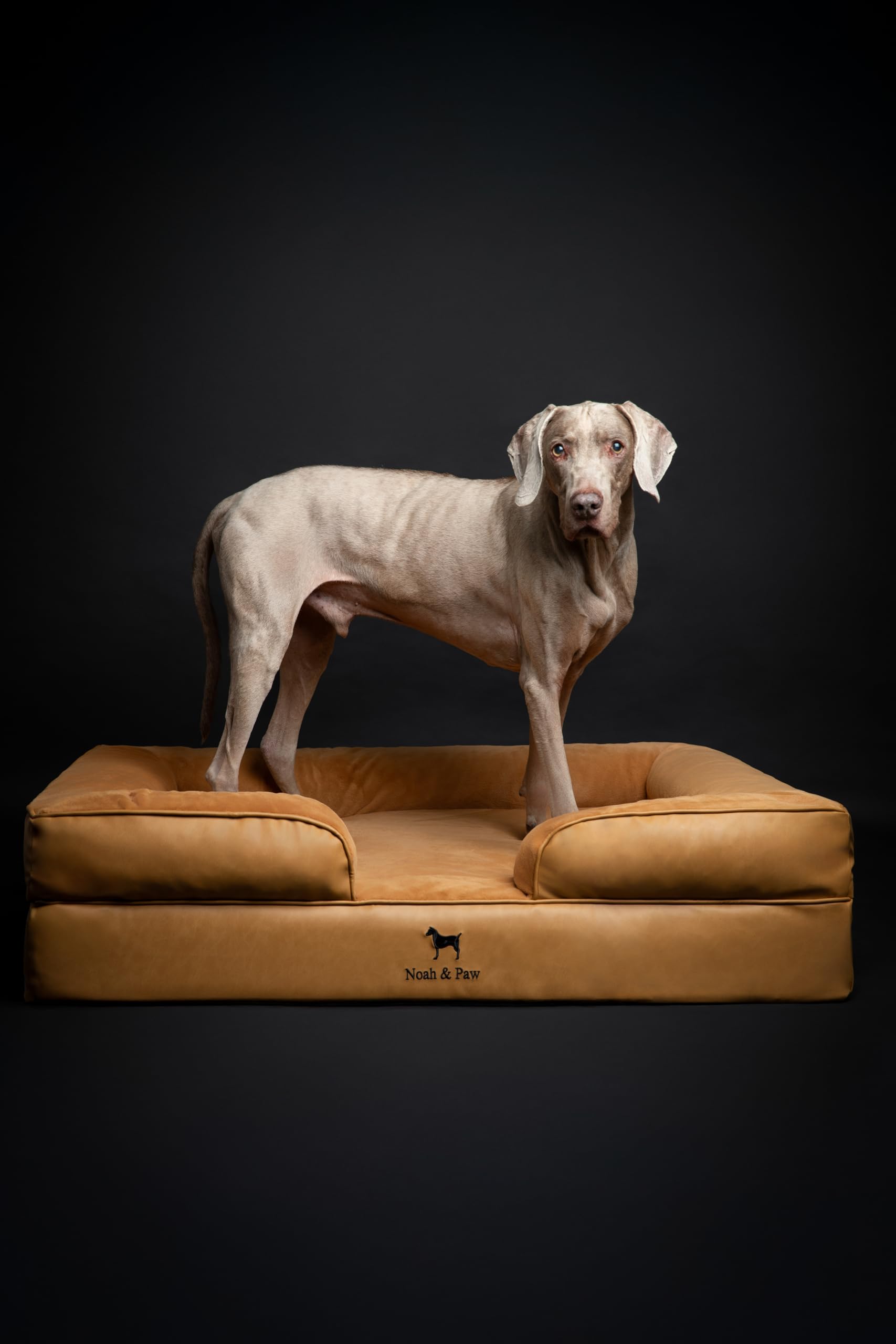 Noah & Paw XL: lavage en machine pour un entretien simple.